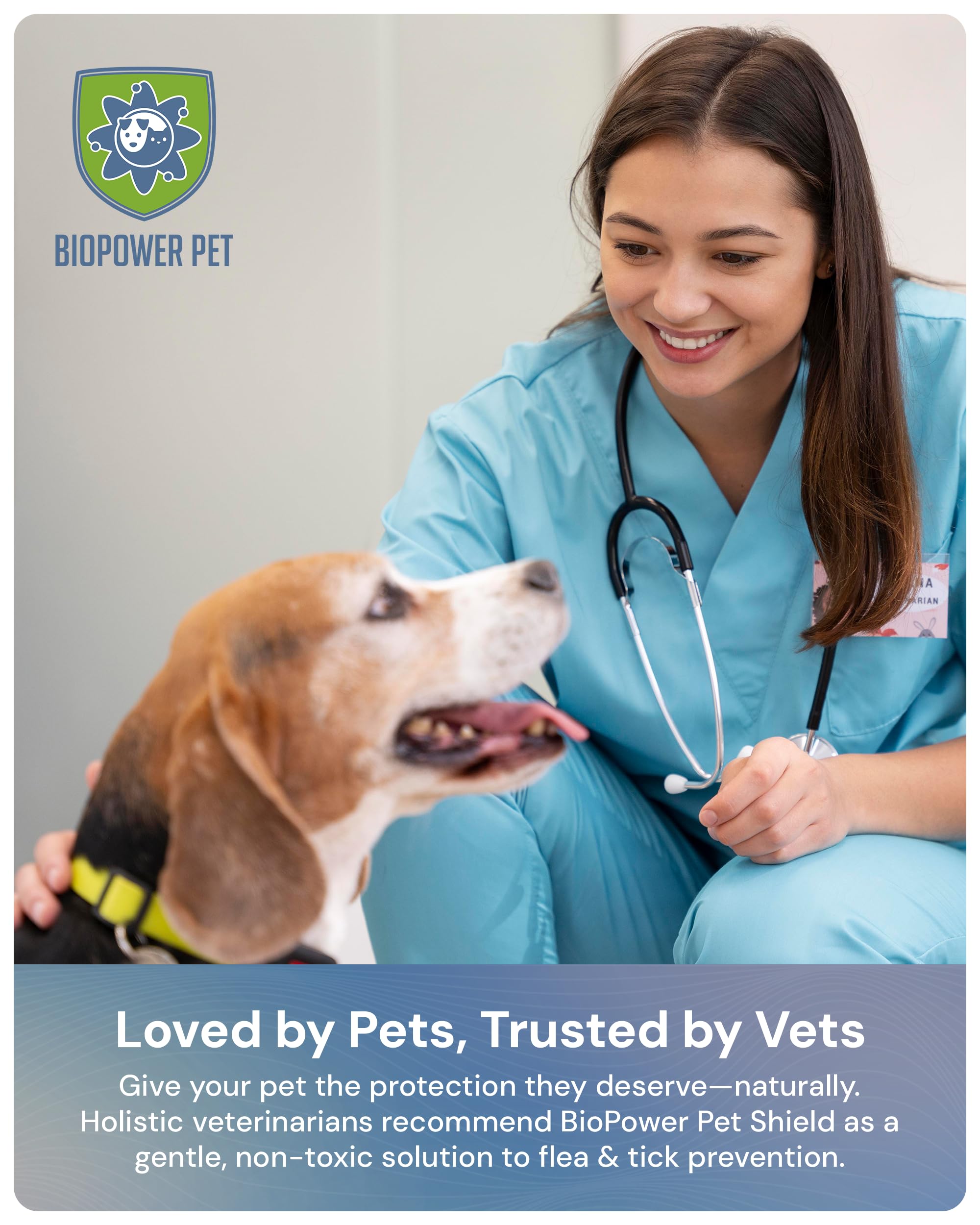 Natural Flea & Tick Repellent Collar Tag for Dogs & Cats – BioPower Pet Shield – Safe for Pets When Used as Directed – Lasts 1 Full Year - Regular Tag (1Pack) - image 4