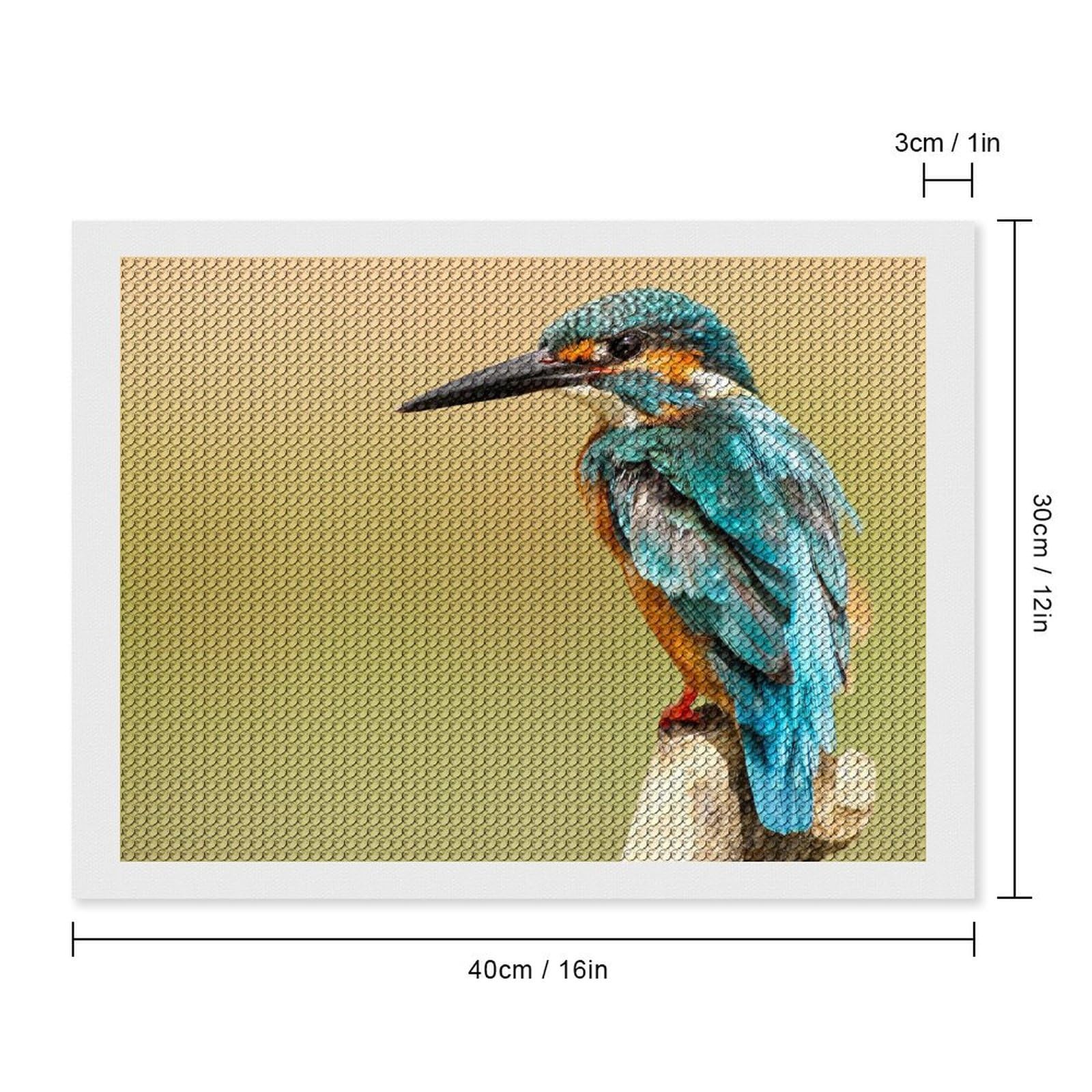 Amazon.co.jp: ダイヤモンドアート カワセミ 鳥 (1) ダイヤモンド絵画