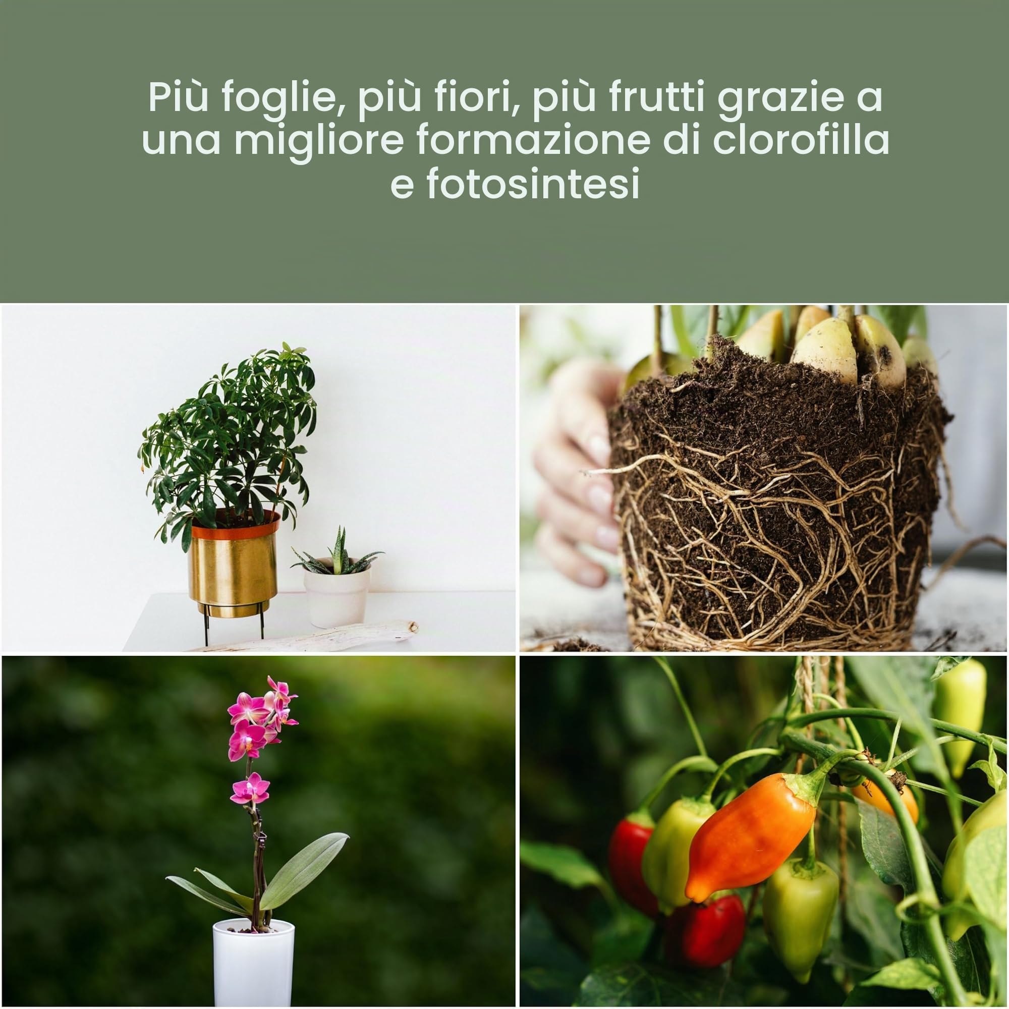Parus by Venso SUNLiTE pianta lampada 7W bianco, lampada di crescita a LED con asta telescopica, luce di crescita per piante da interno e piante verdi