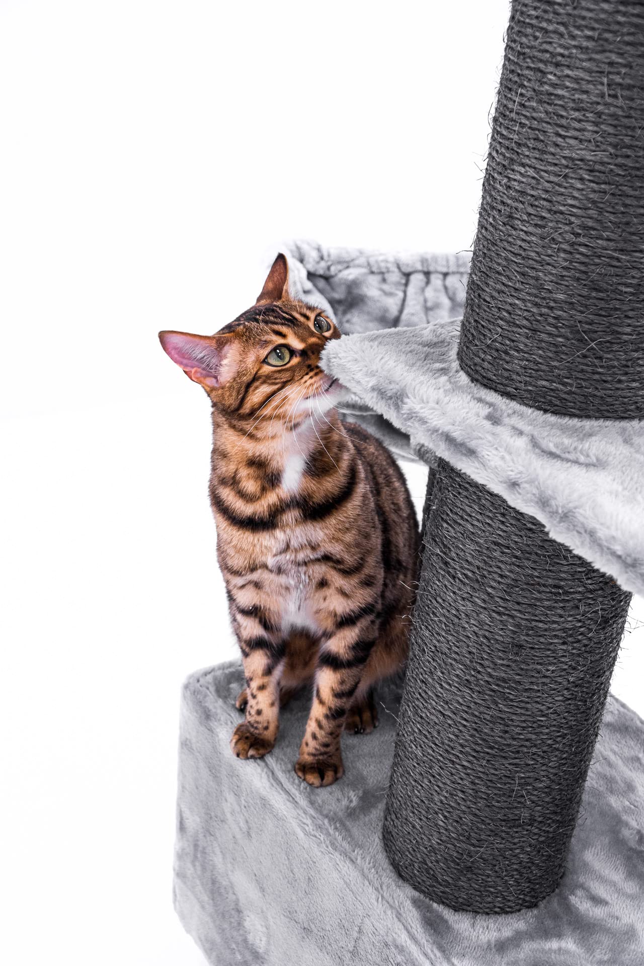Petrebels Arbre à Chat Parklane 131 cm, Couleur Gris, Design Arbre à Chat avec Hamac