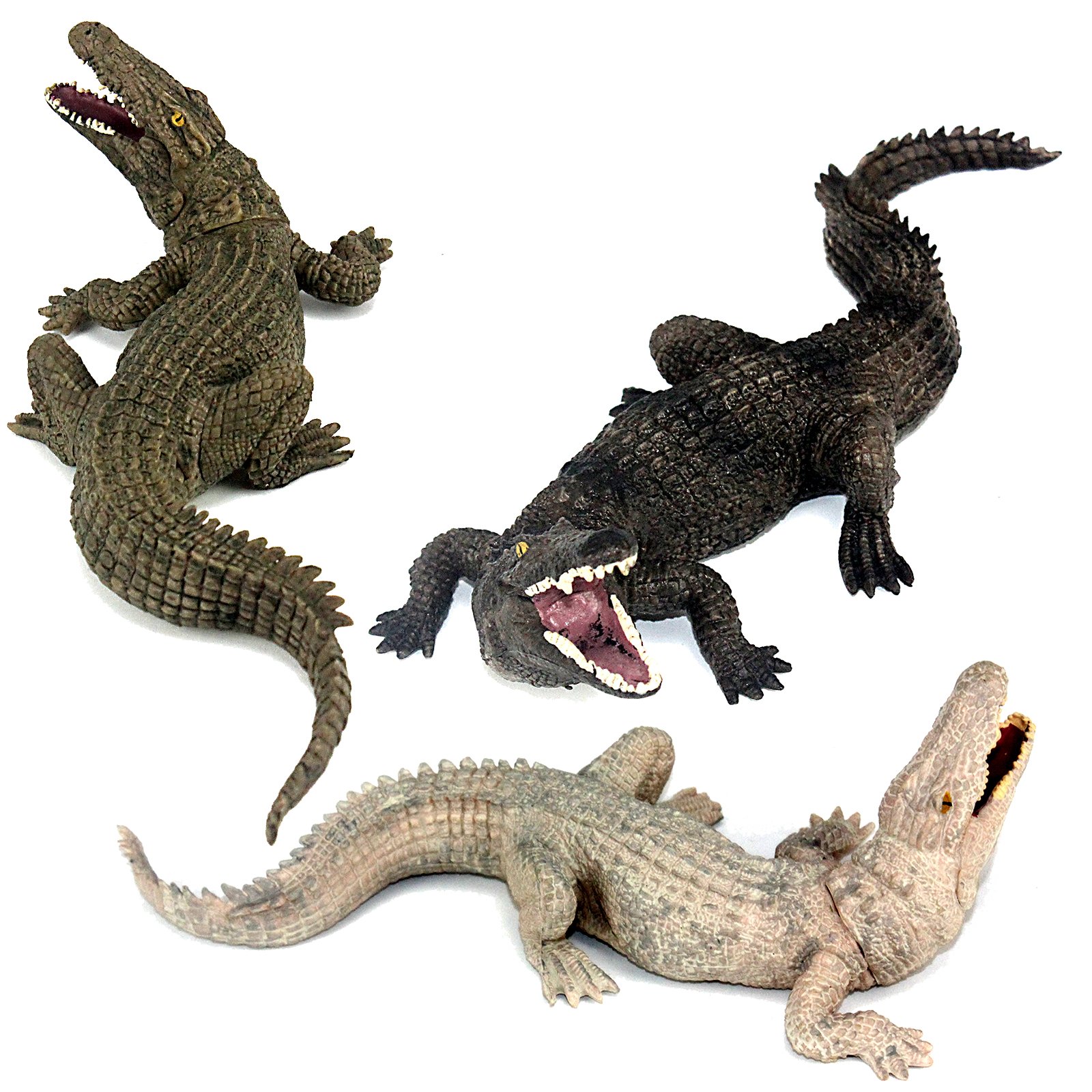 WILDSWANS CROCODILE / GENERAL(SD) BLACK WILDSWANS CROCODILE