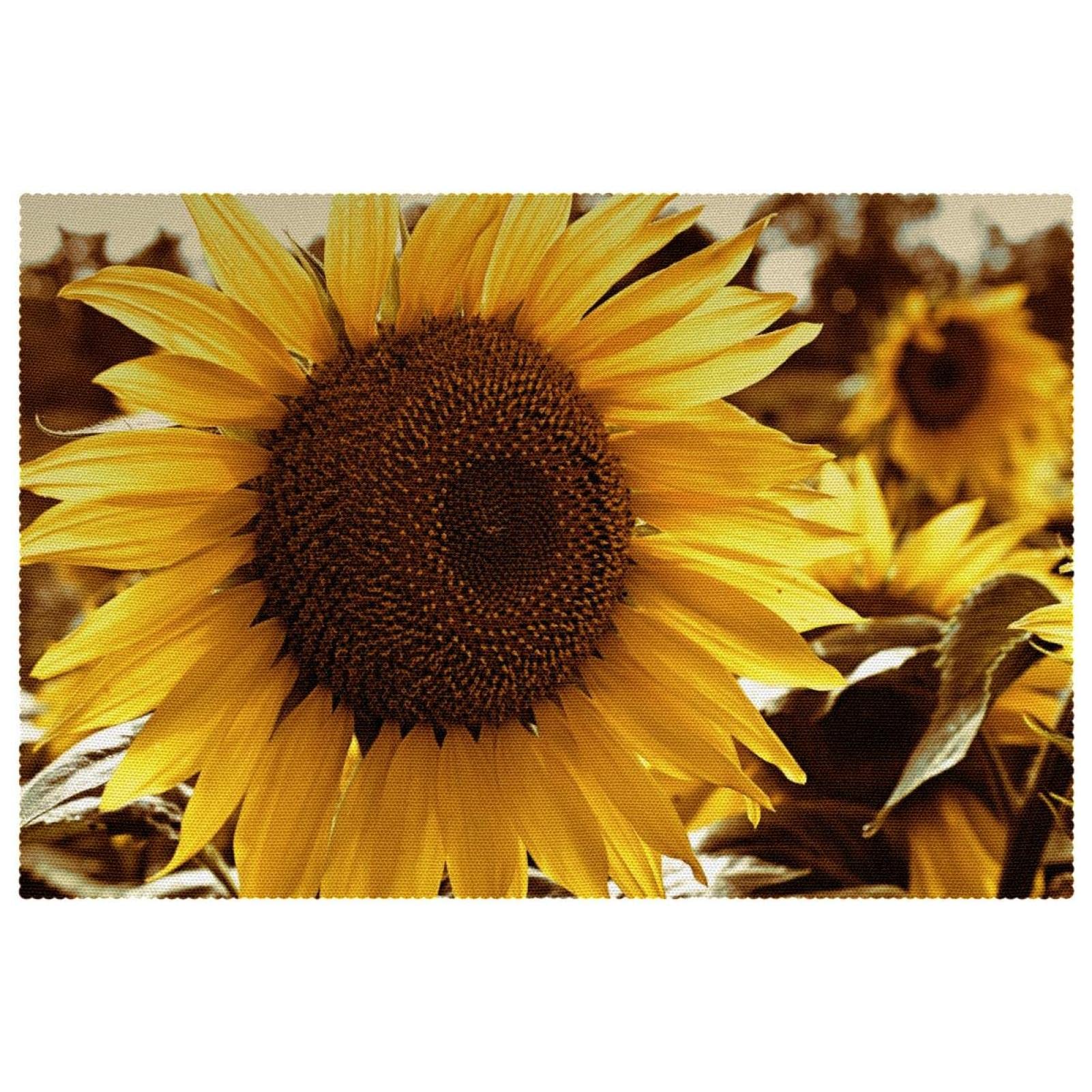 Set de table tournesol lot de 6 lavables anti-dérapants 30x45cm