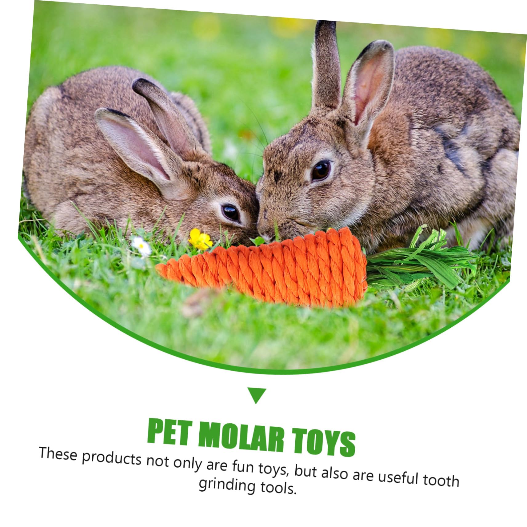 VANZACK 20pièces Jouets à Mâcher Loofah pour Petits Animaux Fournitures pour Hamster Et Lapin Jouets De Détente pour Rongeurs Carotte Maïs Radis