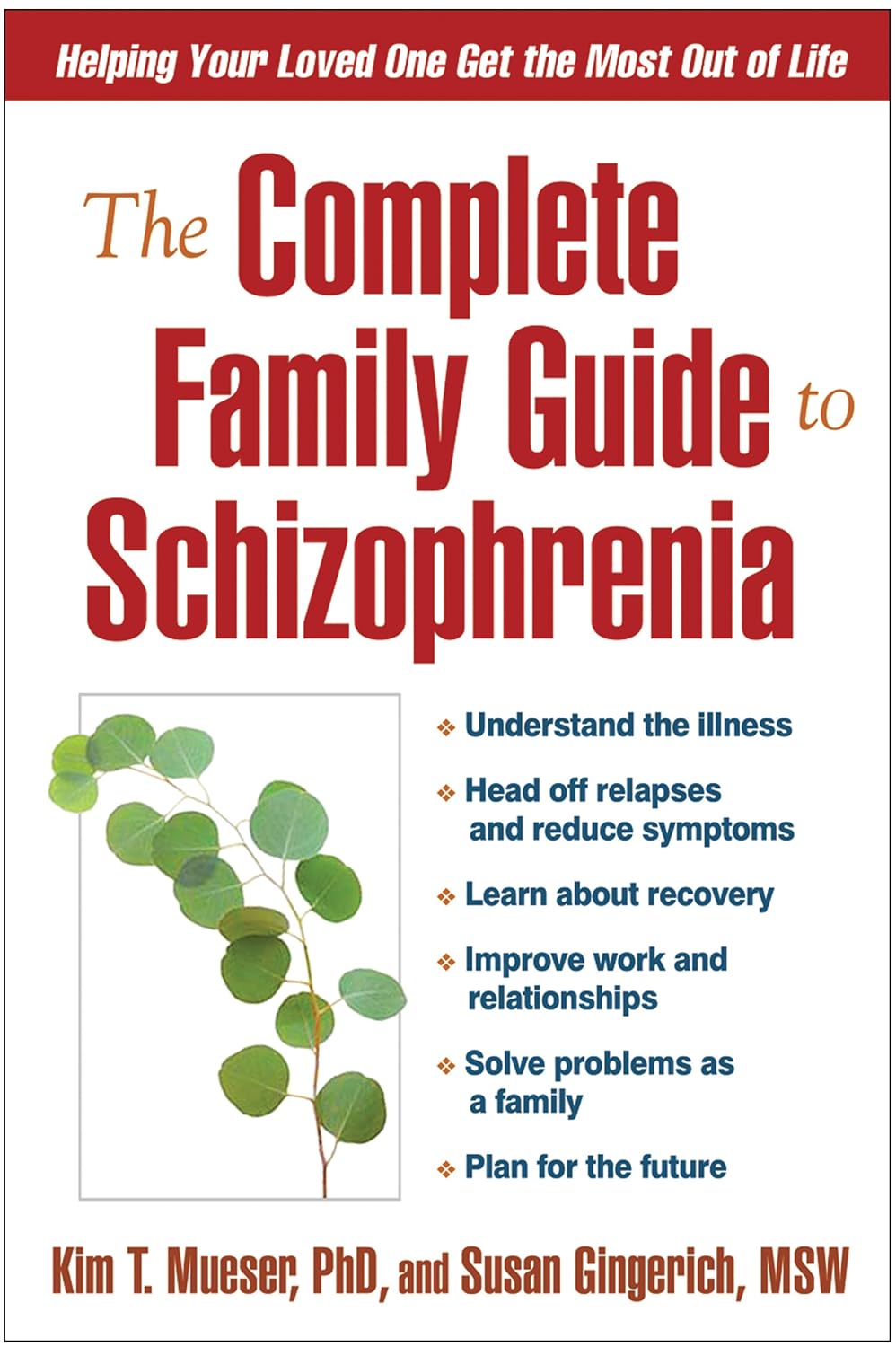 The Complete Family Guide to Schizophrenia: Helping Your Loved One Get the Most Out of Life      Illustrated Edition