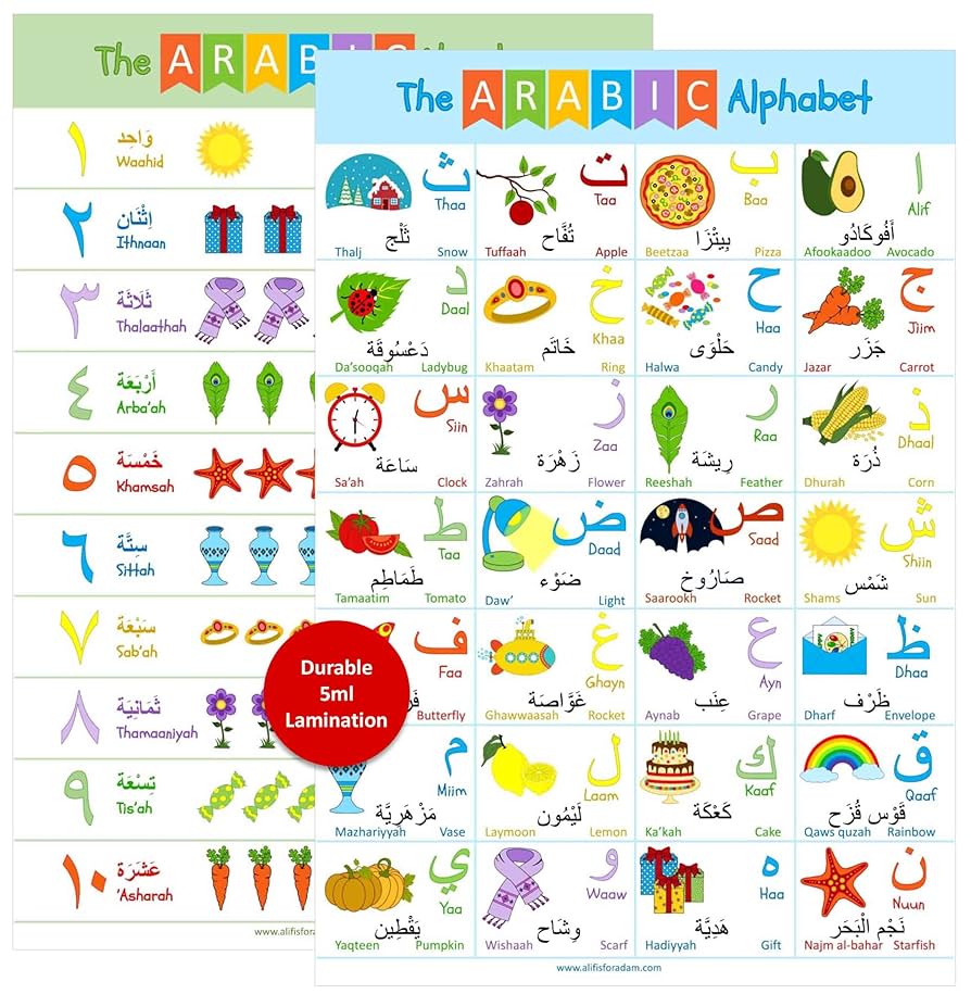 Amazon.co.jp: アラビア語アルファベットポスター 数字付き 子供