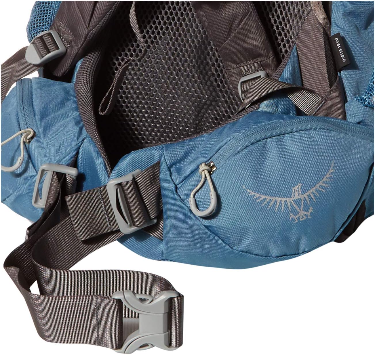 Osprey Renn 50 Women's Backpacking Backpack, Challenger Blue