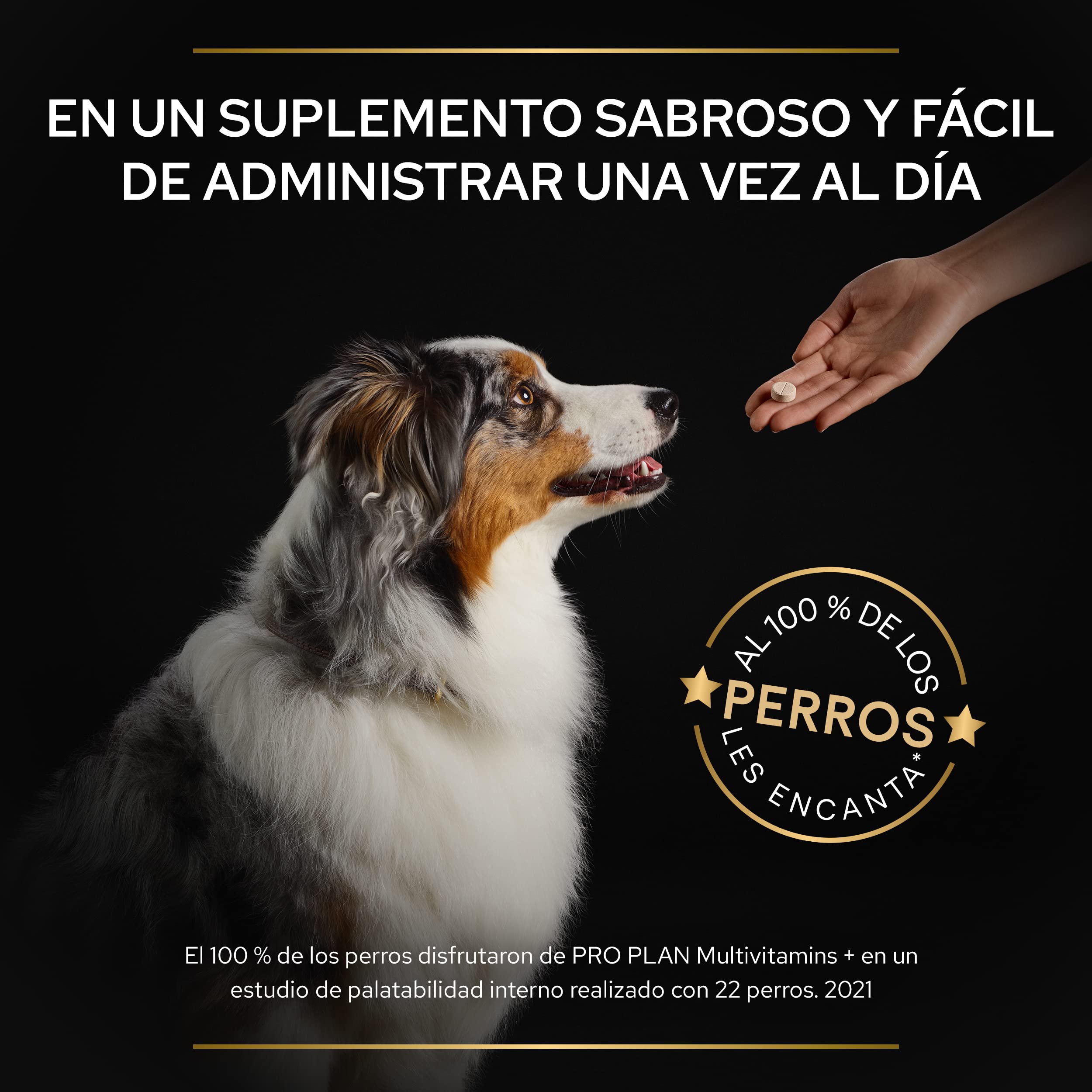 Pro Plan Suplemento Perro multivitaminas 67 g