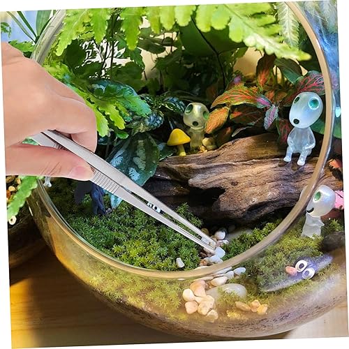 Miniatura 6 de NOLITOY Pinzas de jardinería profesionales, pinzas de precisión, pinzas de joyería, pinzas de acero inoxidable, herramienta de jardinería suculenta,
