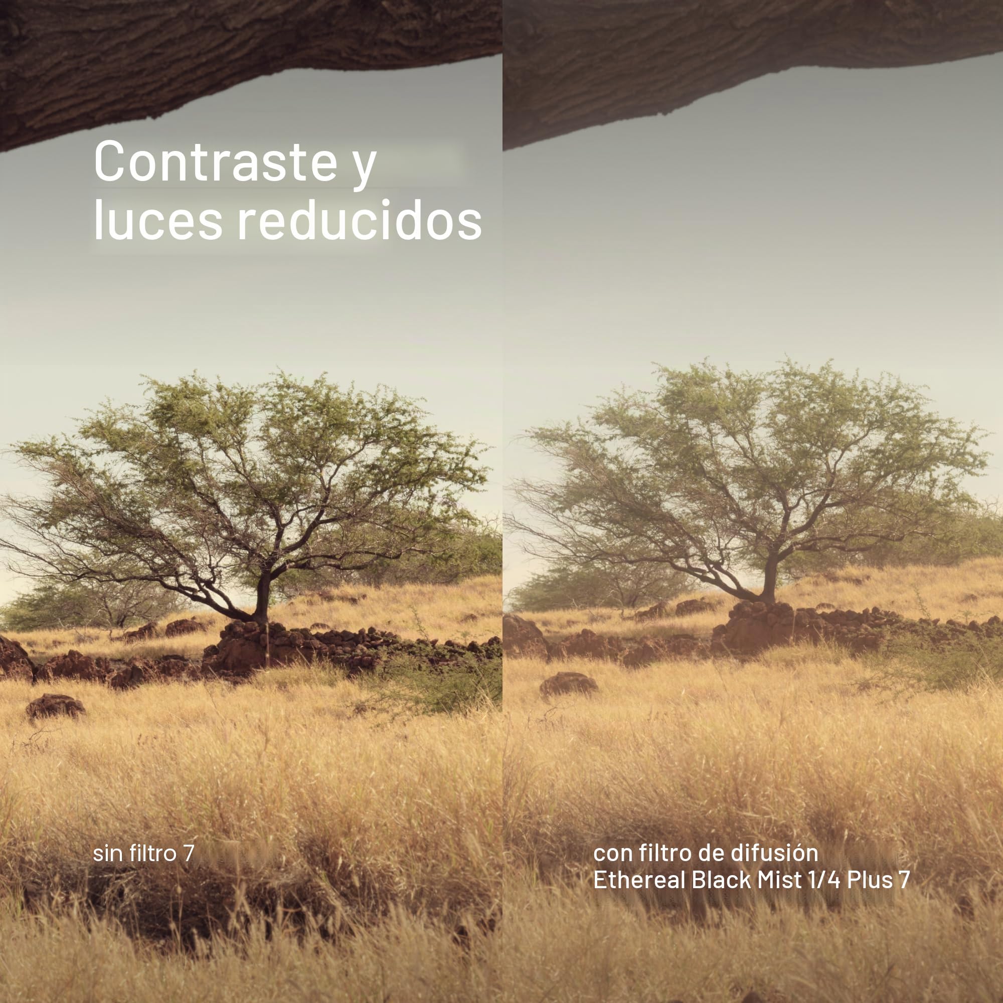 Urth 43 mm Filtro de Difusión ¼ Etéreo Black Mist (Plus) – Efecto Cinematográfico para Objetivo, Nano-Recubrimiento de 20 Capas, Difusión de Luz para Cámara