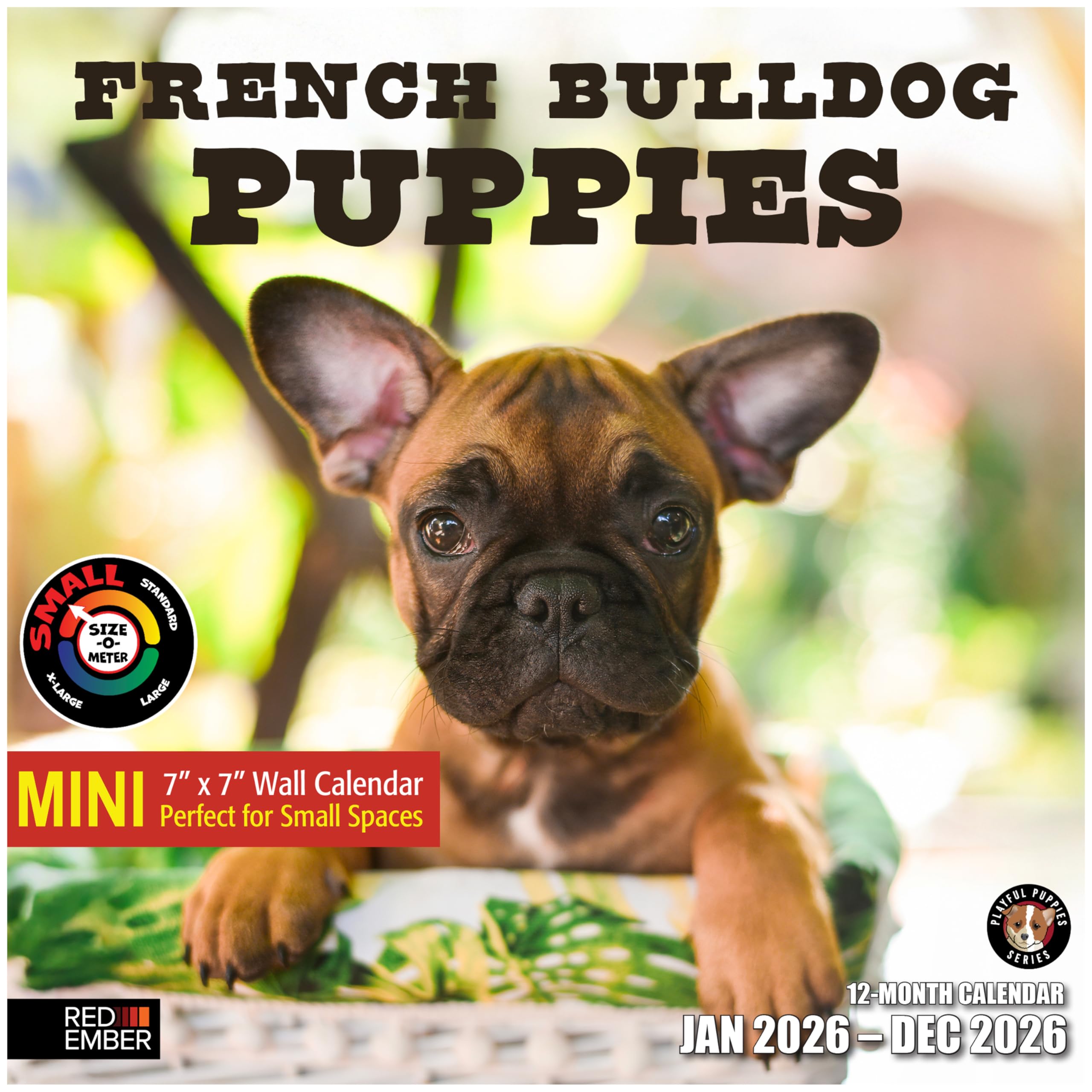 RED EMBER French Bulldog Puppies 2026 Mini Wall Calendar 12 Month | 7" x 14" Open | Thick &amp; Sturdy Paper | Giftable | Cute Frenchie Puppy Dog Calendar 2026