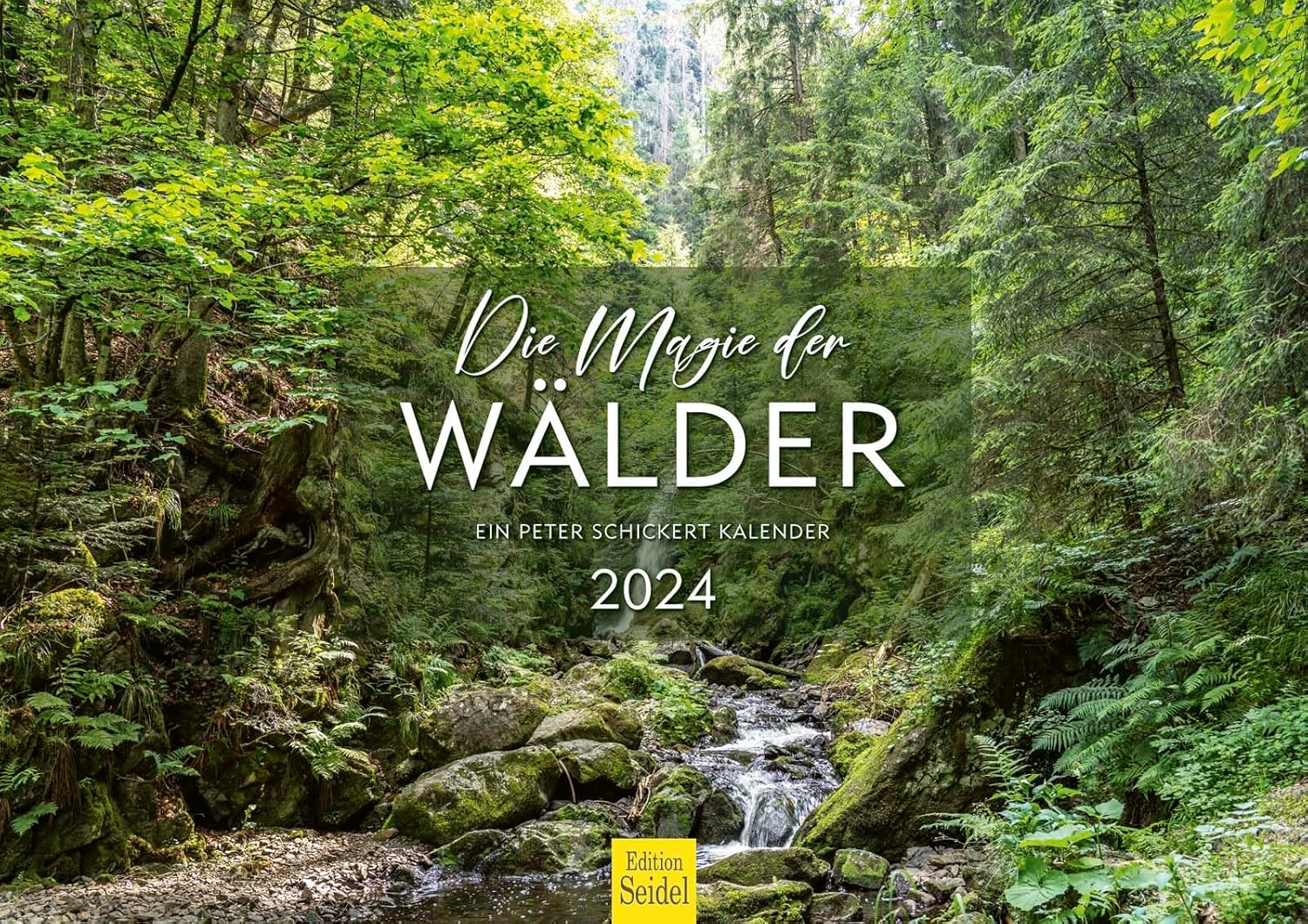 Naturwald Bilder: Tauche ein in die Magie der Wälder