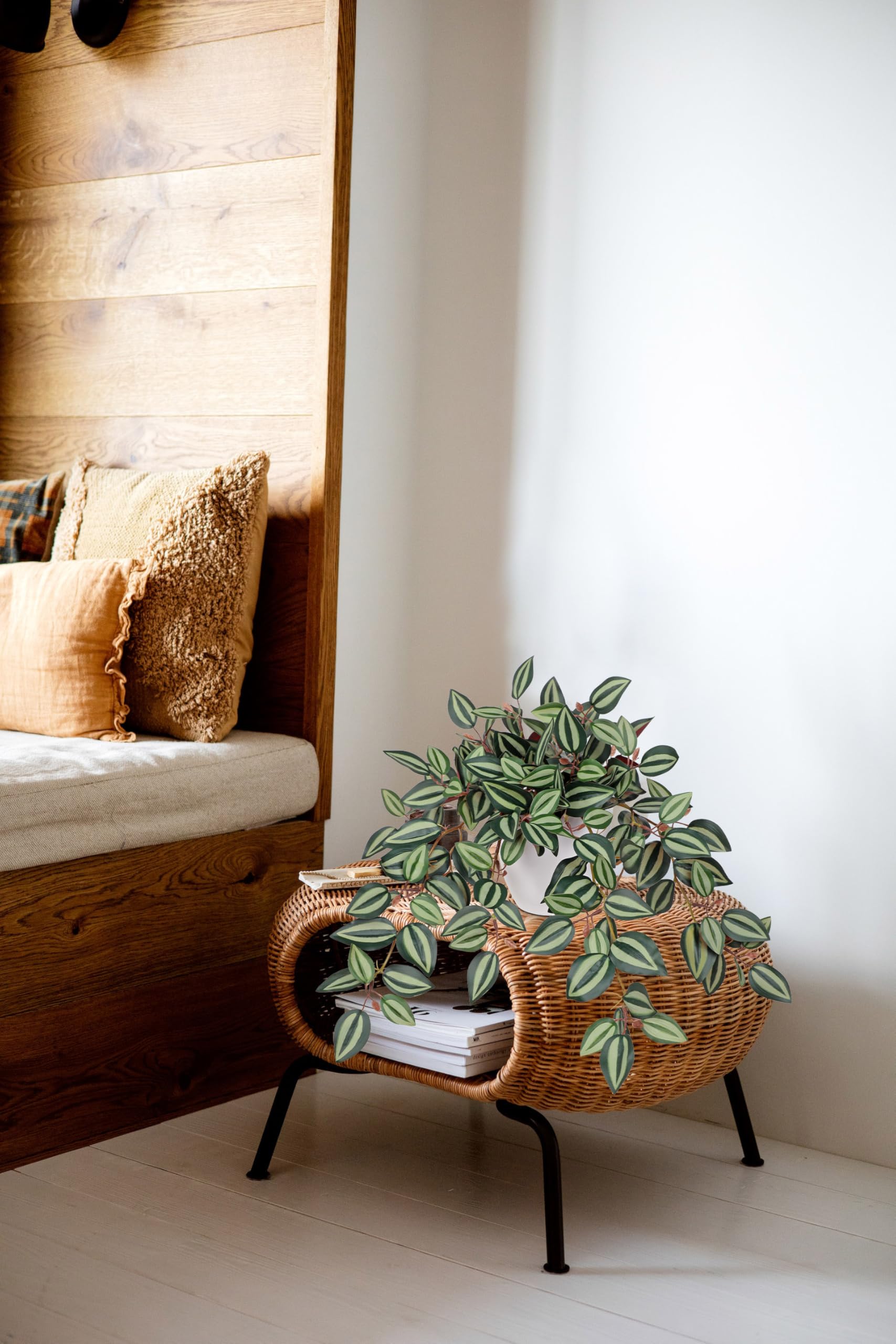 View 4