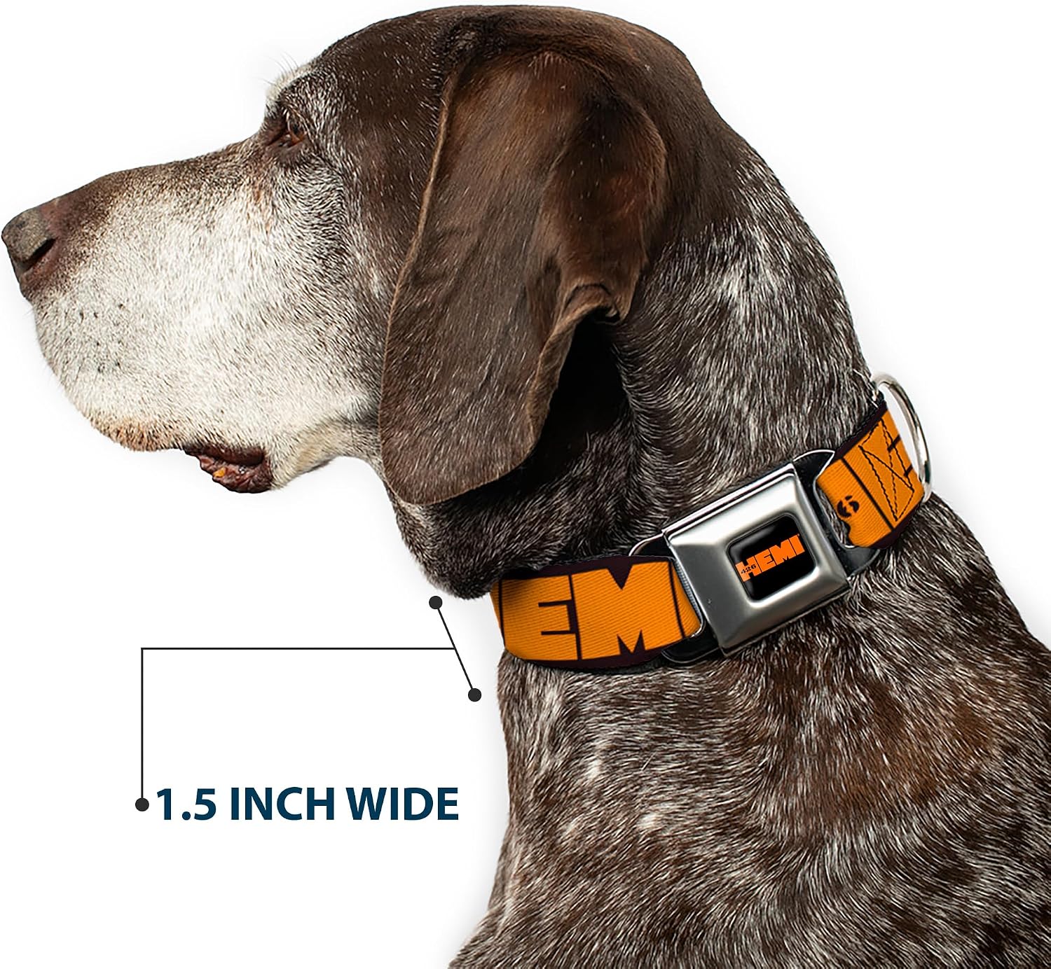 Buckle-Down Seatbelt Buckle Dog Collar - HEMI 426 Logo 392/426 Black/Orange/Silver-Fade - 1" Wide - Fits 15-26" Neck - Large