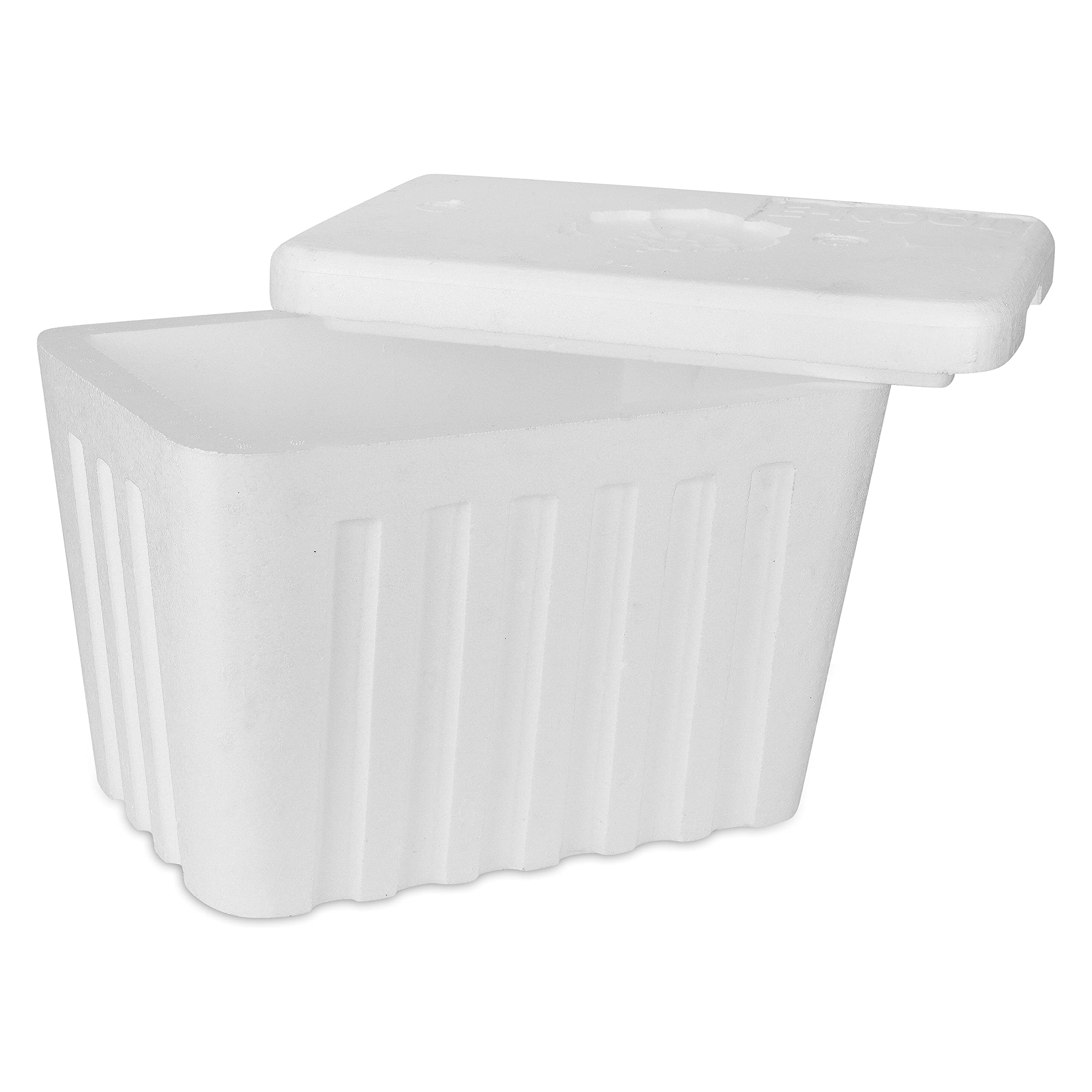 E-Kool Portable Insulated Ice Box 20 LTR for Travel – EPS Ice Storage Box | Ice Cooler Box for Medicine, Fish, and Food | Durable Cold Storage Solution for Camping, Beach, and Car Trips-picture-34