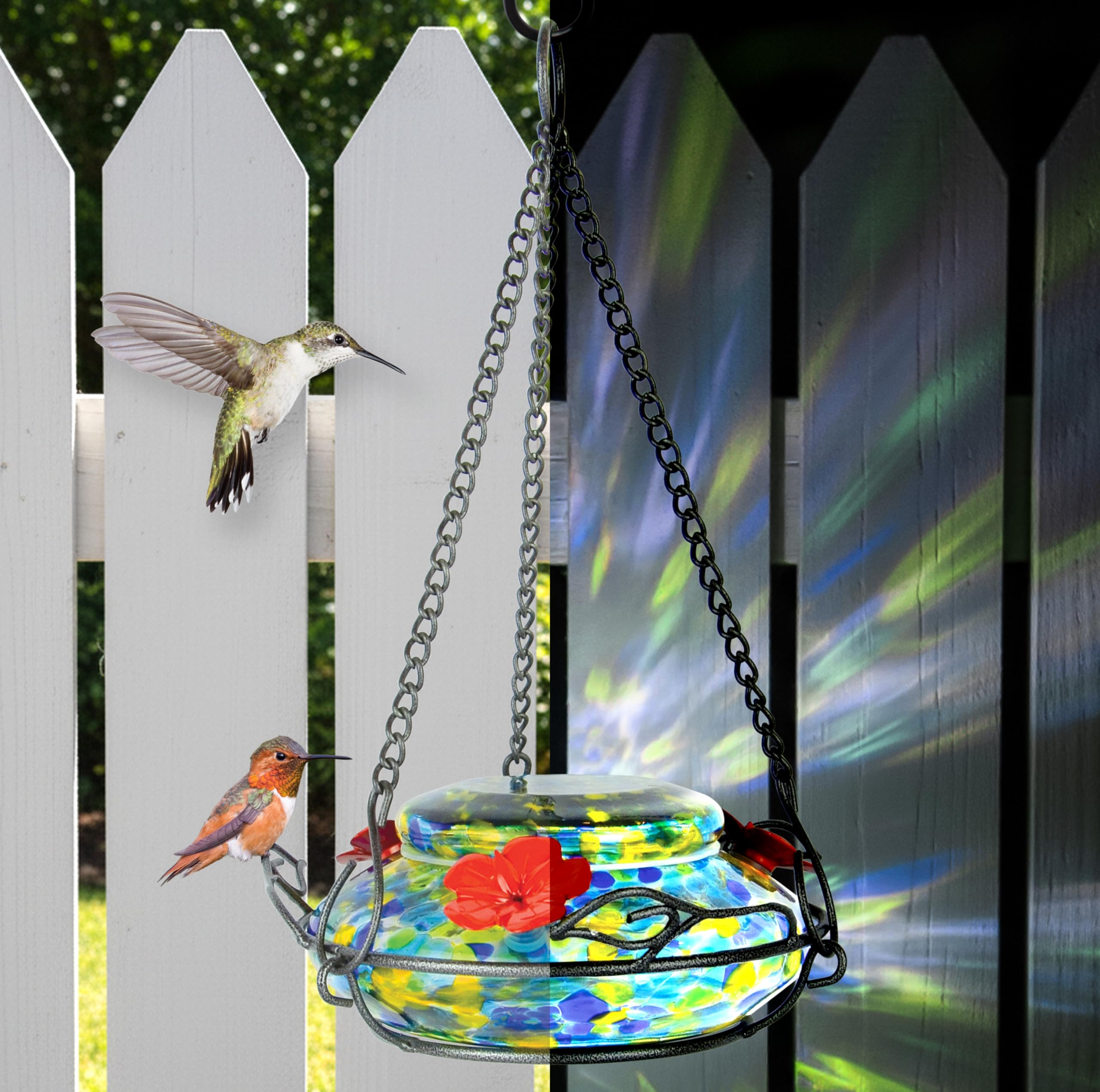 Amazon.co.jp: Nature's Way Bird Products GHF7照光式トップフィル