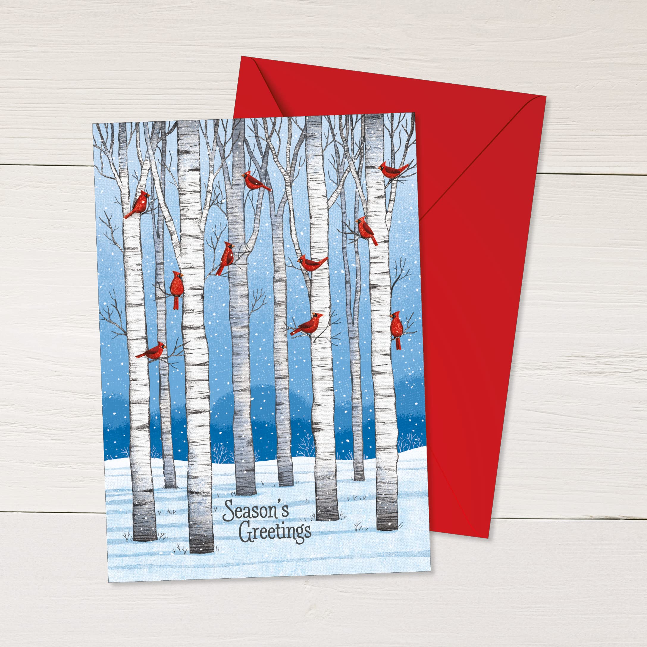 RSVP Lot de 24 cartes de vœux de Noël avec enveloppes Cardinaux colorés 12,7 x 17,8 cm