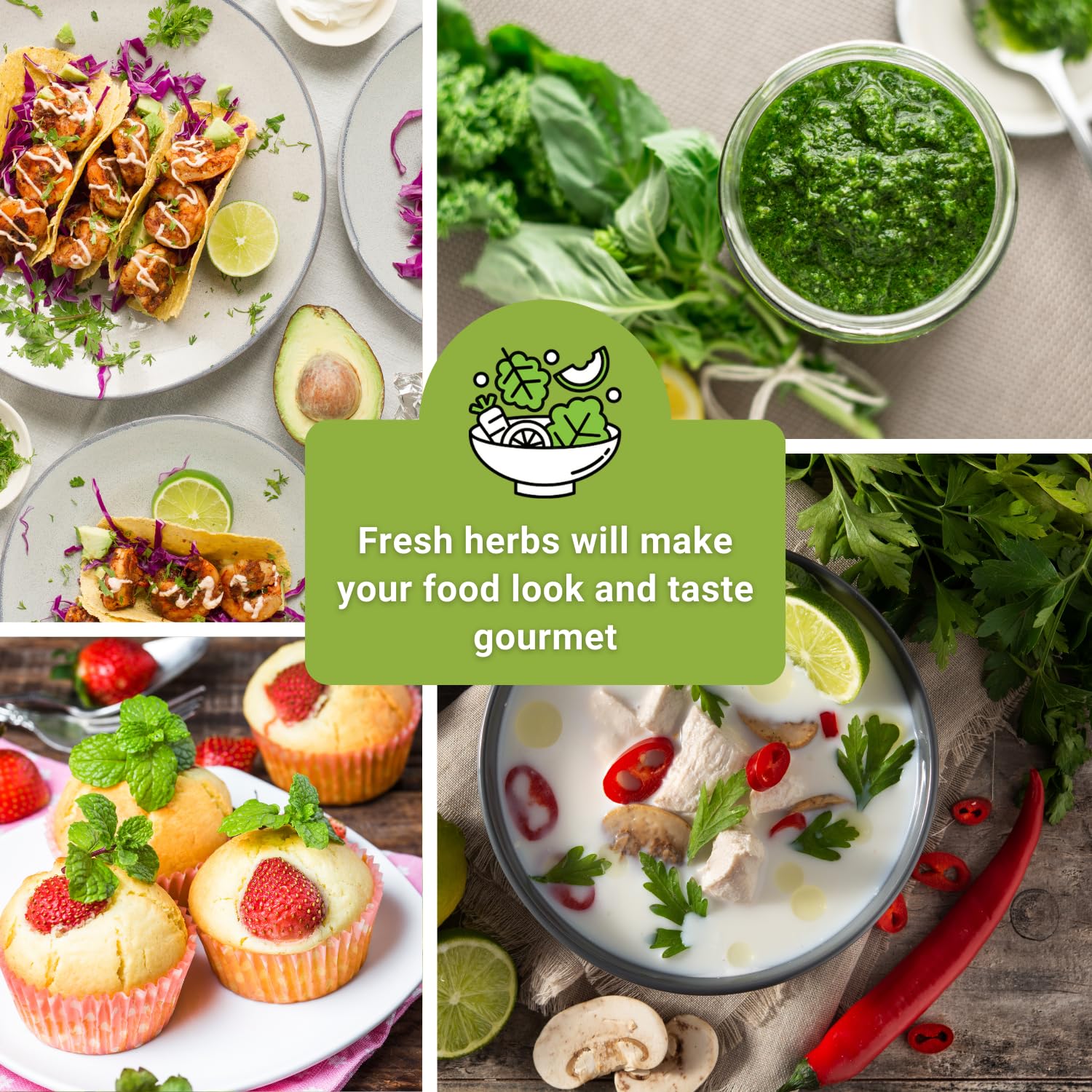 Colección de semillas de hierbas más popular para plantar - menta, lavanda, albahaca dulce, cilantro y perejil - 5 paquetes con instrucciones para cultivar un jardín de cocina casera 3