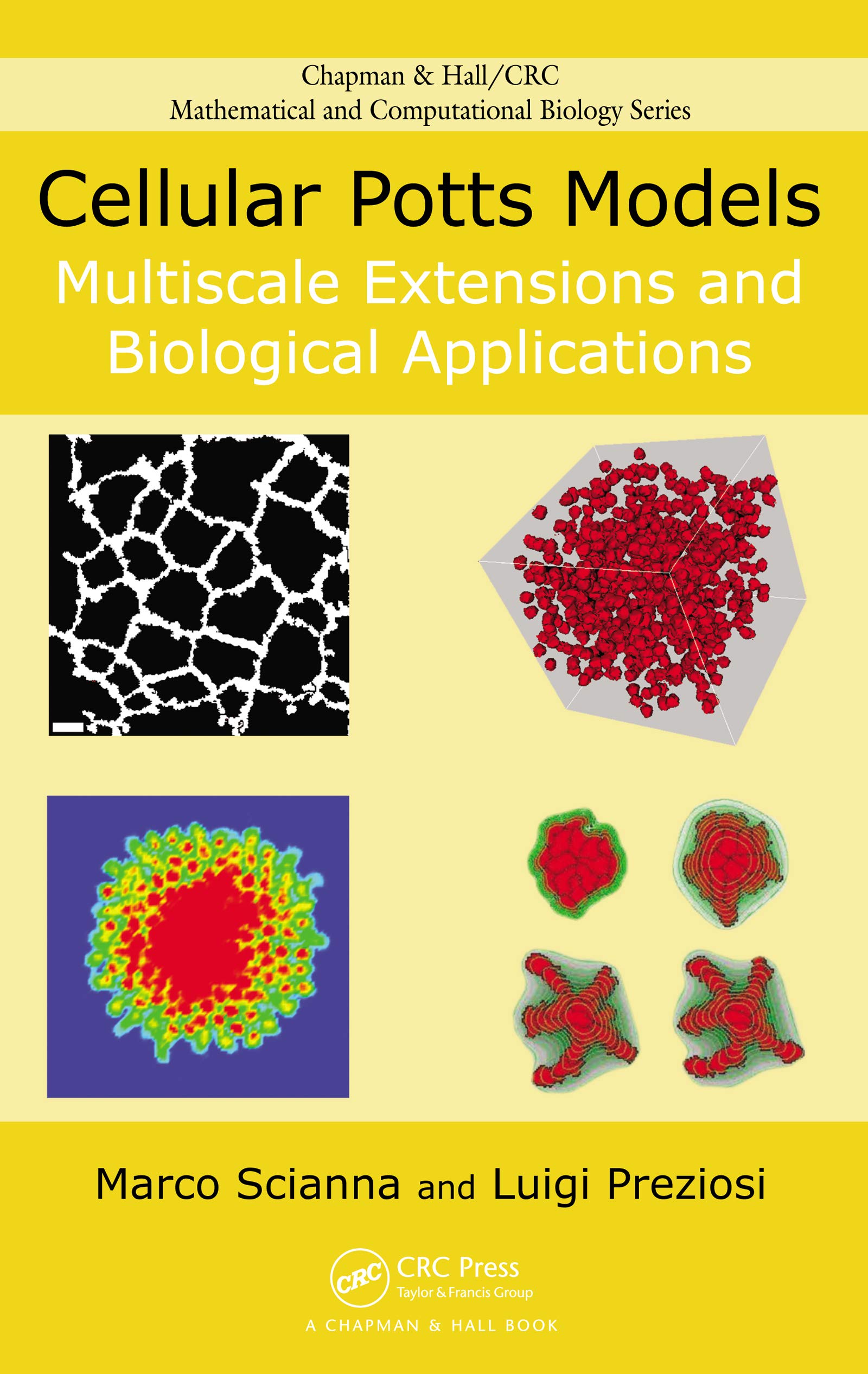Cellular Potts Models: Multiscale Extensions and Biological Applications (Chapman & Hall/CRC Mathematical Biology Series) (English Edition)