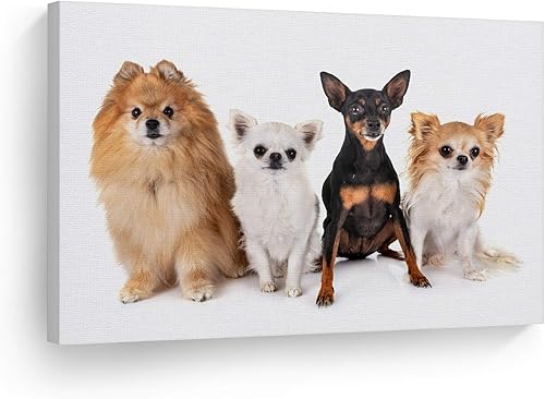 Vista 8 de Smile Art Design Border Collie Bulldog Rottweiler Cachorro Persa Gatito Animal Lienzo Impresión Arte de Pared Pet Cat Dog Lover Sala Dormitorio