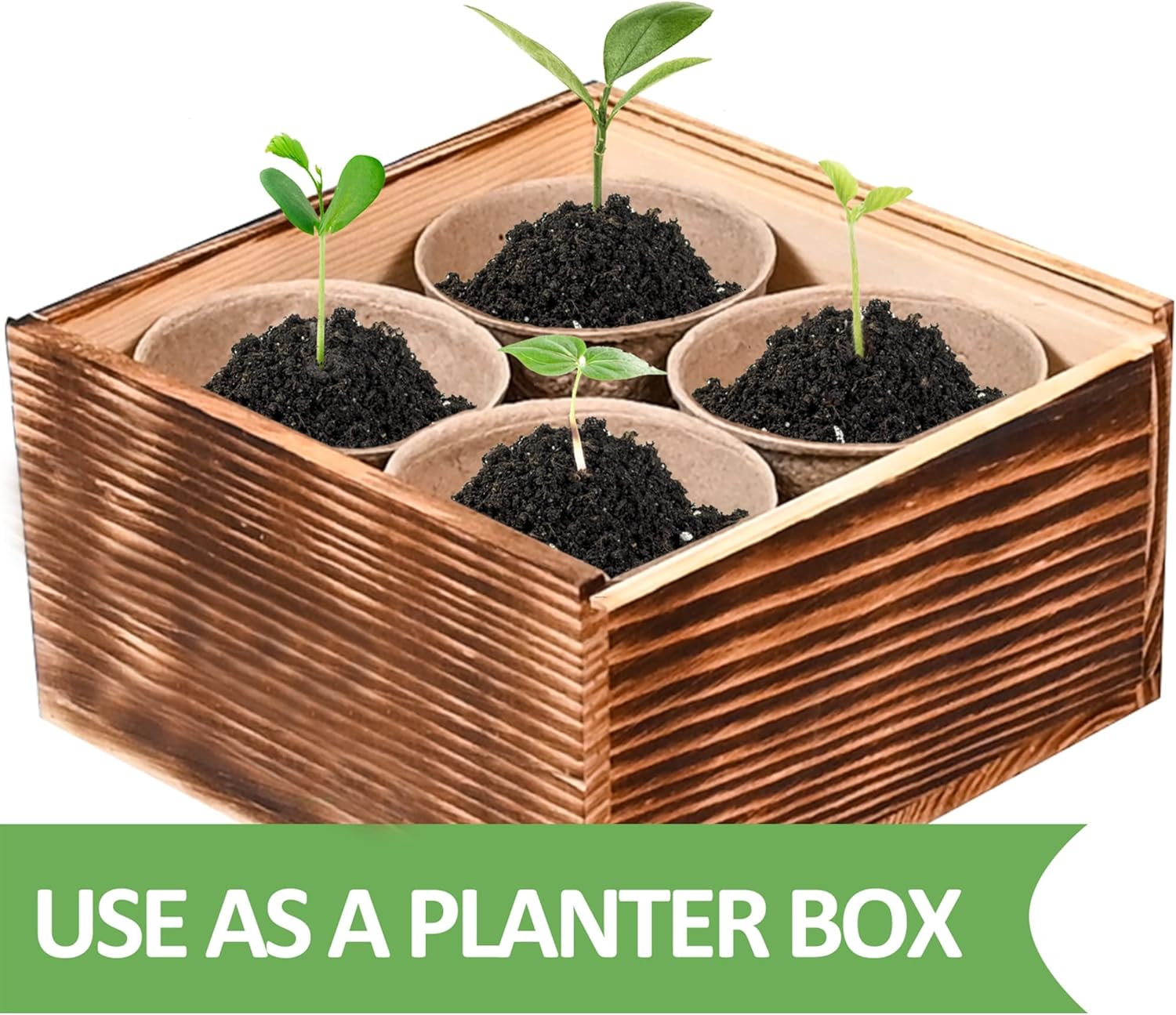 Best Soil For Apple Tree In 2022 On