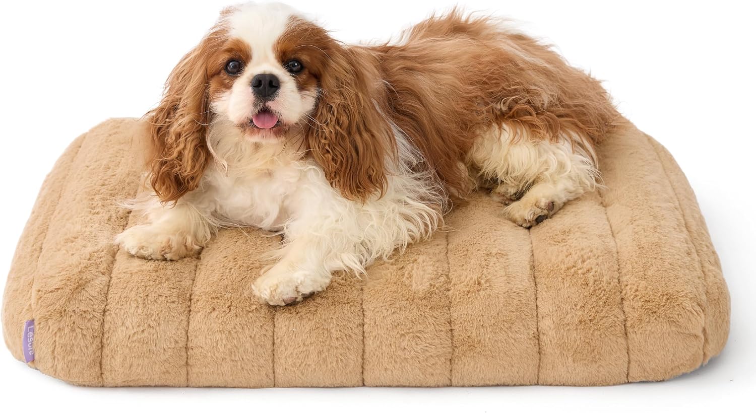 LE SURE Cute Orthopedic Dog Bed Large Sized Dog, Waterproof Chic Flat Pet Beds with Removable Washable Cover, Fuzzy Thick Egg Crate Foam Pet Mat for Indoor Use (36" x 27", Cream)