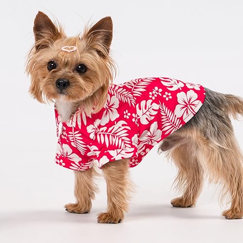 Miniatura 9 de Fitwarm Paquete de 2 camisas para perro de teñido anudado, ropa de verano para perros pequeños, camiseta ligera para mascotas, atuendo de gato, 100%