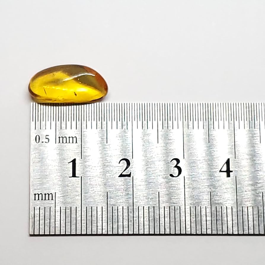 バルト海産　虫入り琥珀　12個セット　全て虫入り　本物保証　良いコンディション 楽天市場】【天然琥珀】【虫入り琥珀】【琥珀ルース】バルト海