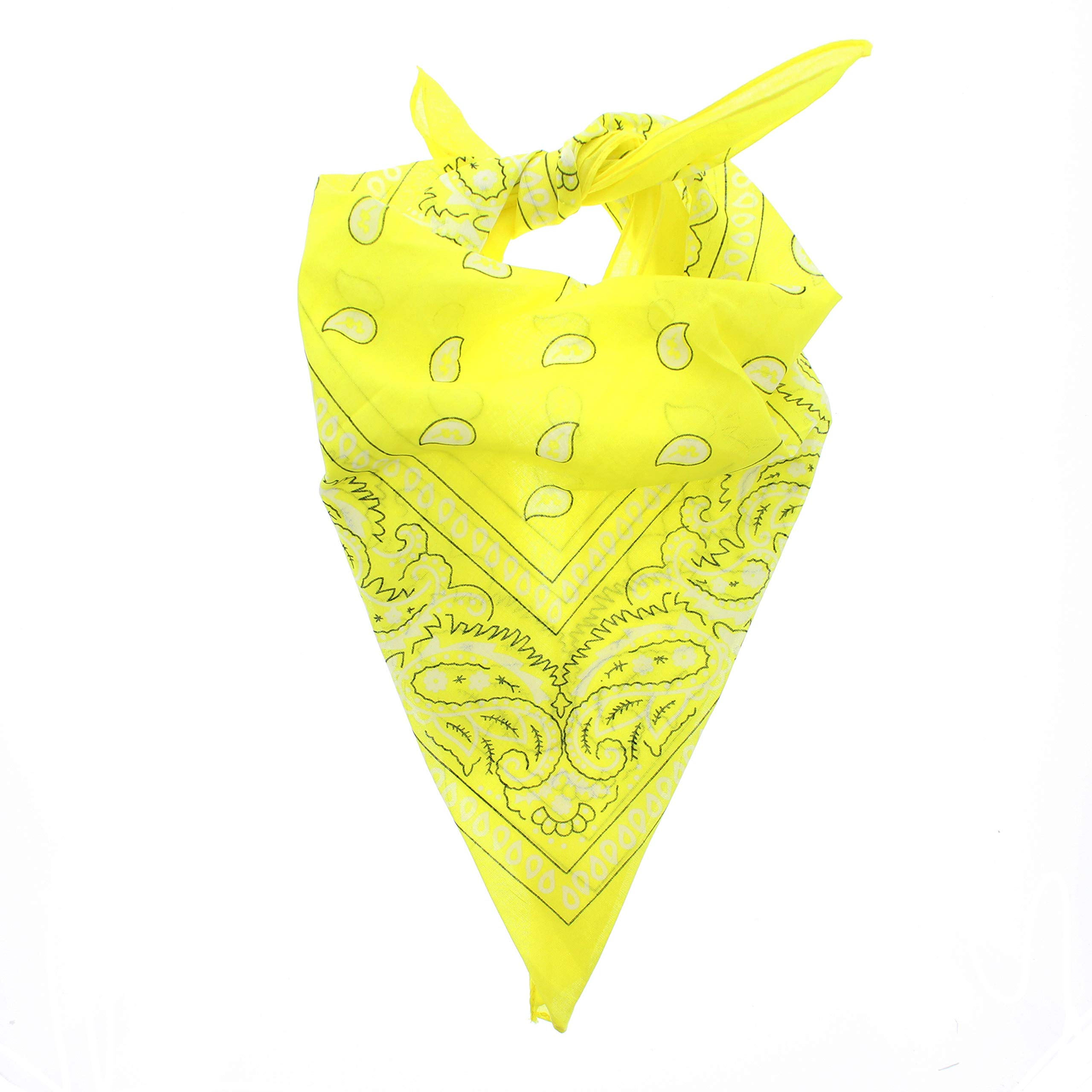 Zac's Alter Ego Retro Vintage Style Cowboy Paisley Bandana/Neckerchief/Durag