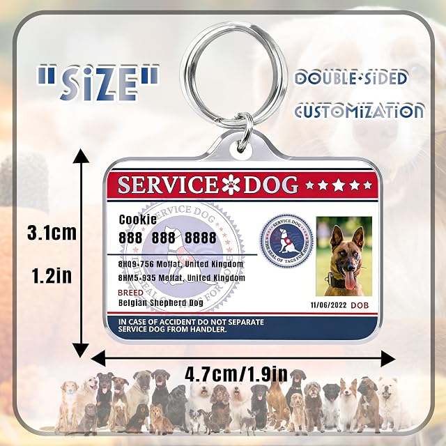 Foto 4 de 6 de Personalizada Etiquetas de Identificación para Mascotas