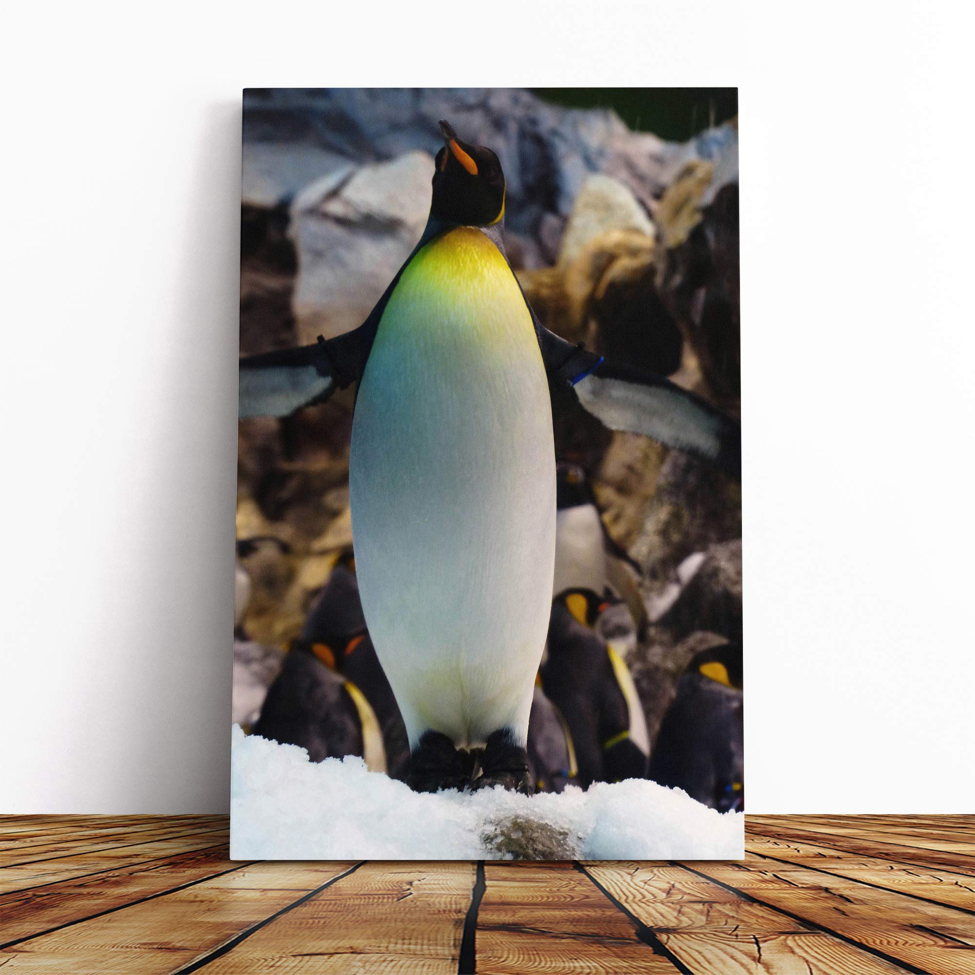 King Penguin Canvas Print | Gallery Wrapped 30mm Frame Wall Art | 24x16 inches | Ready to Hang | Modern Animals Picture | Living Room Bedroom Lounge Office