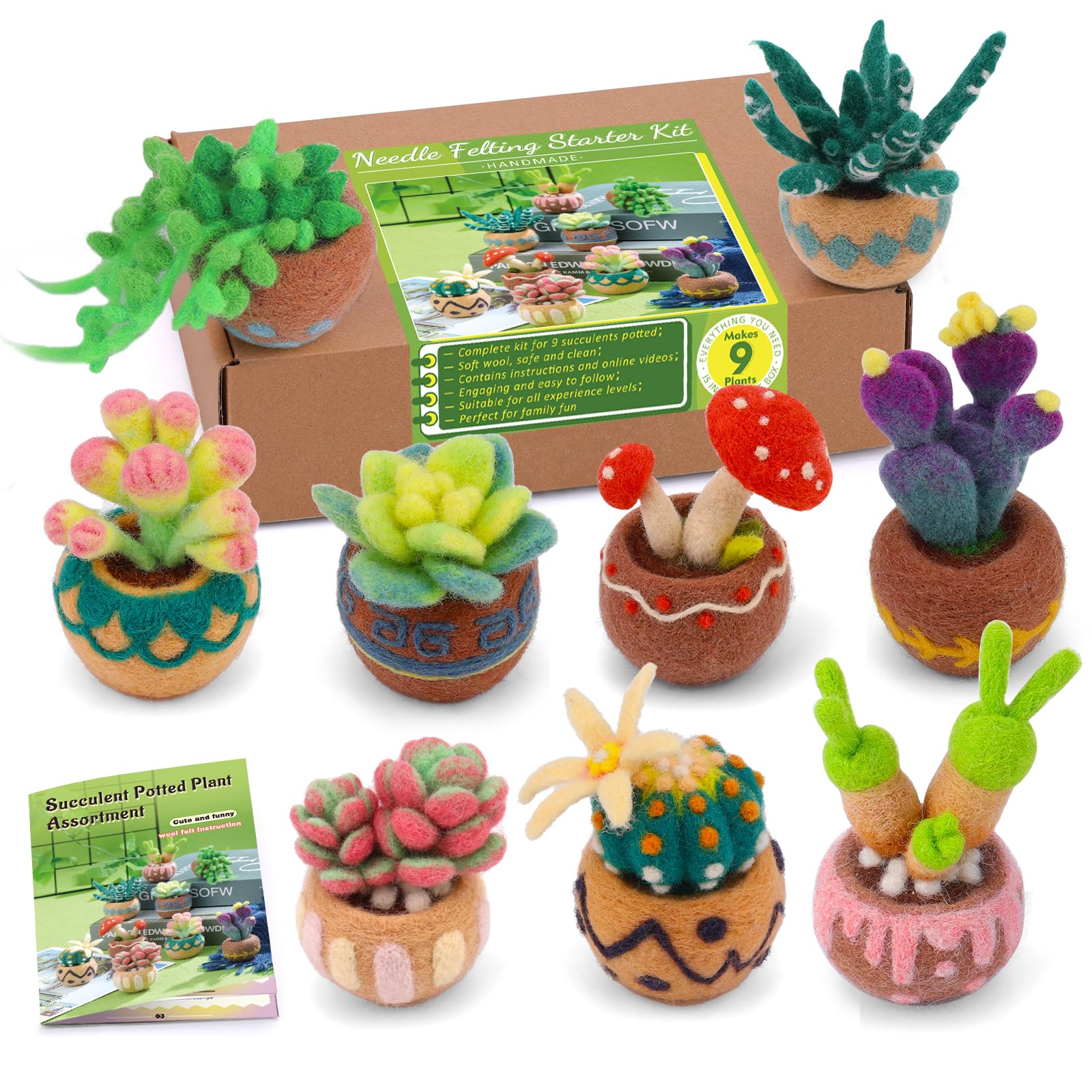 Wamkon Set di feltro ad ago, 9 pezzi, per principianti, con piante grasse, set di feltro incluso lana feltro, tappetino per feltro e istruzioni per il fai da te