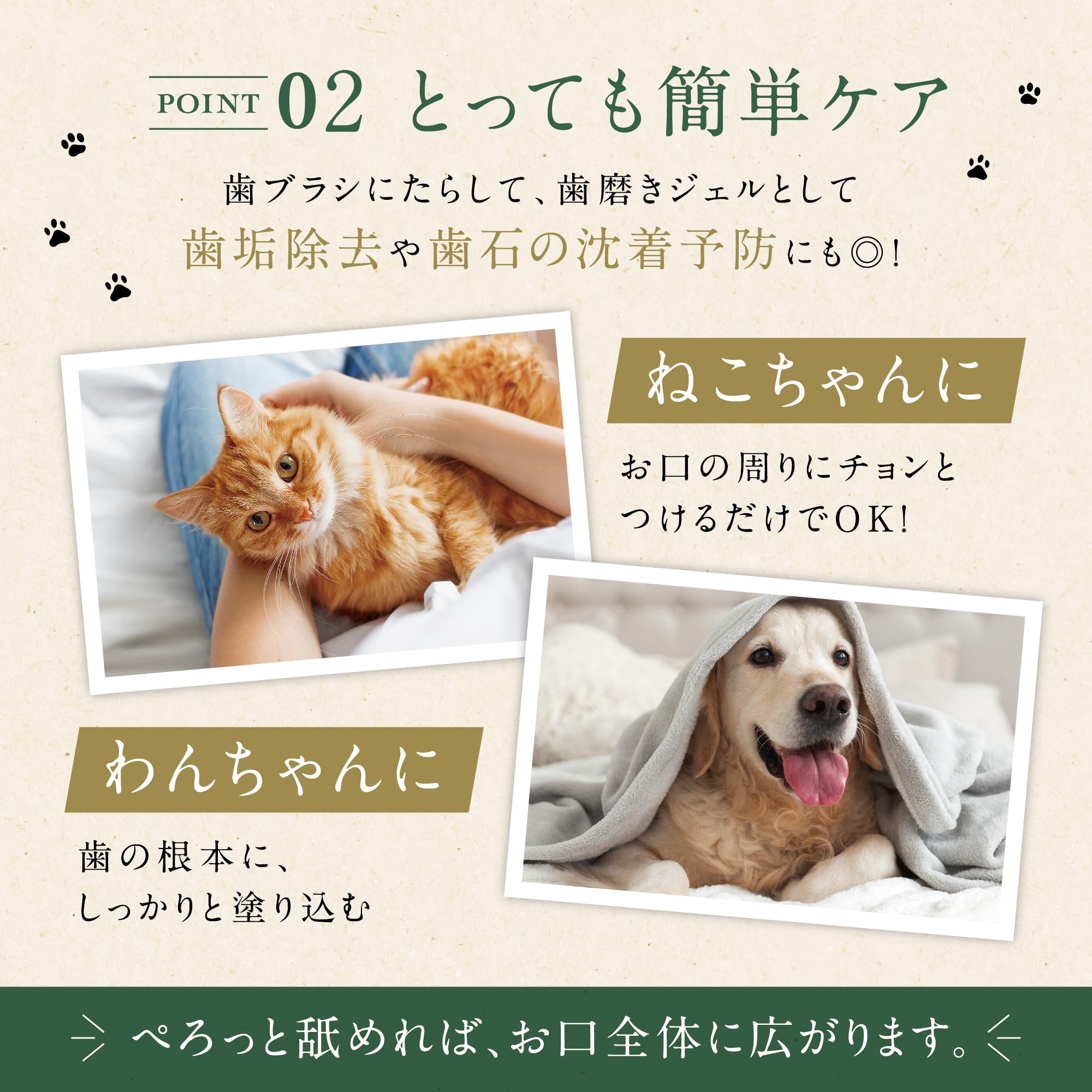 Amazon.co.jp: η（イータ）［獣医師が使う］猫 はみがき 犬 歯磨き