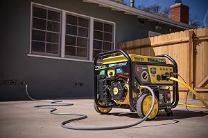top natural gas powered generators