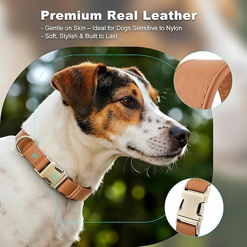 Miniatura 3 de Plutus Pet Collar de cuero genuino para perro, collar ajustable para mascotas con hebilla metálica de liberación rápida, piel real suave para perros