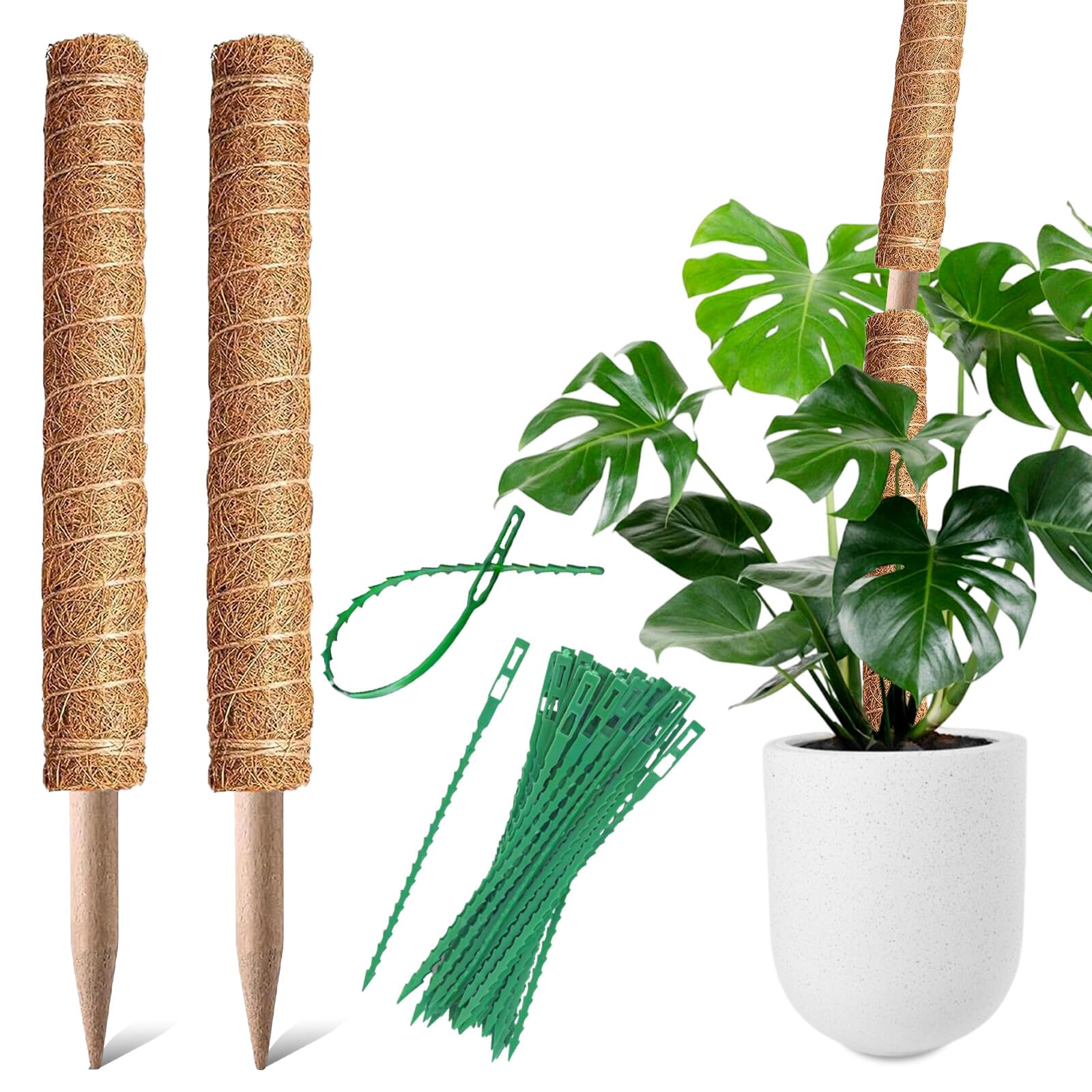 BECHOICEN 2Pcs Coir Totem Pole Plant Support, Moss Pole for House Plants, Cheese Plant with 20 Pieces Garden Cable Ties, 12inch