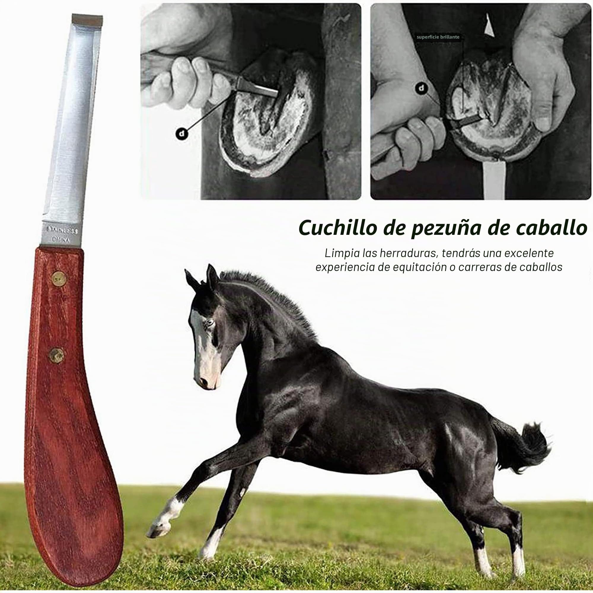 Pezuña de herrador de caballo Kit de herramientas de recorte, Cortadora de pinzas para pezuñas de caballos profesionales, tijeras de metal para cortar caballos, cuidado de pezuñas para caballos