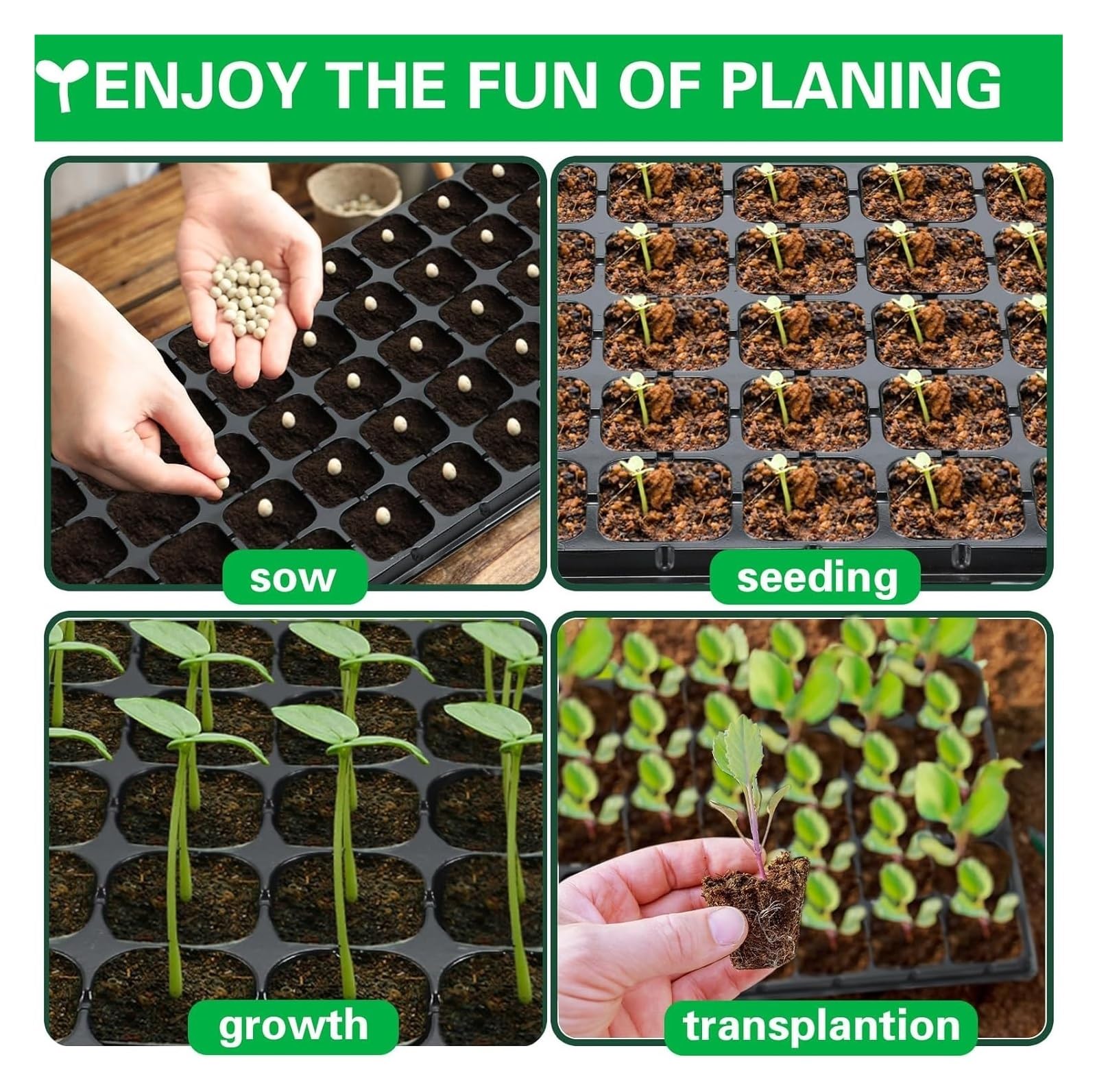 Bandejas para Semillas 5/10 Piezas 50 bandejas for iniciar Semillas, bandejas for plántulas, germinación con Orificios de Drenaje for Cultivar plántulas para Semilla(10Pcs)