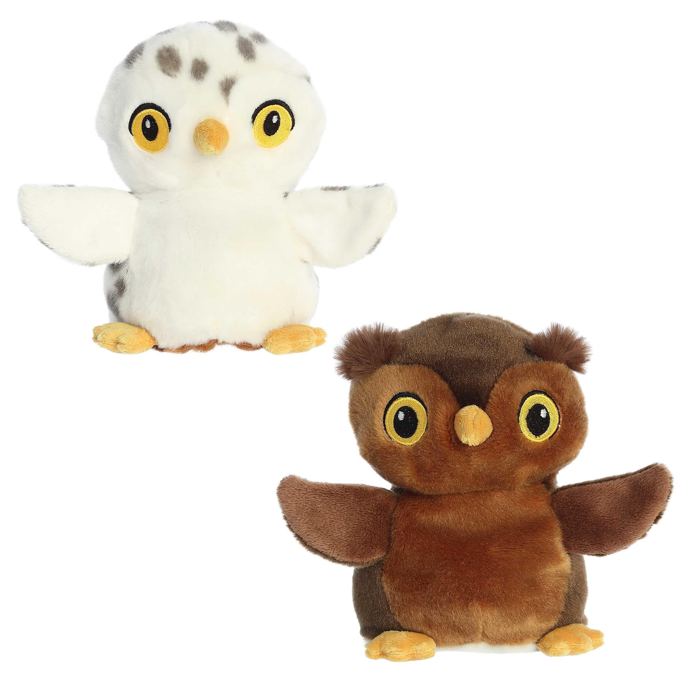 Amazon.com: Aurora® Eco-Friendly Eco Nation™ Reversible Eco Pairs