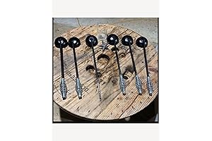 Savory Solutions Onion Grill Cleaner