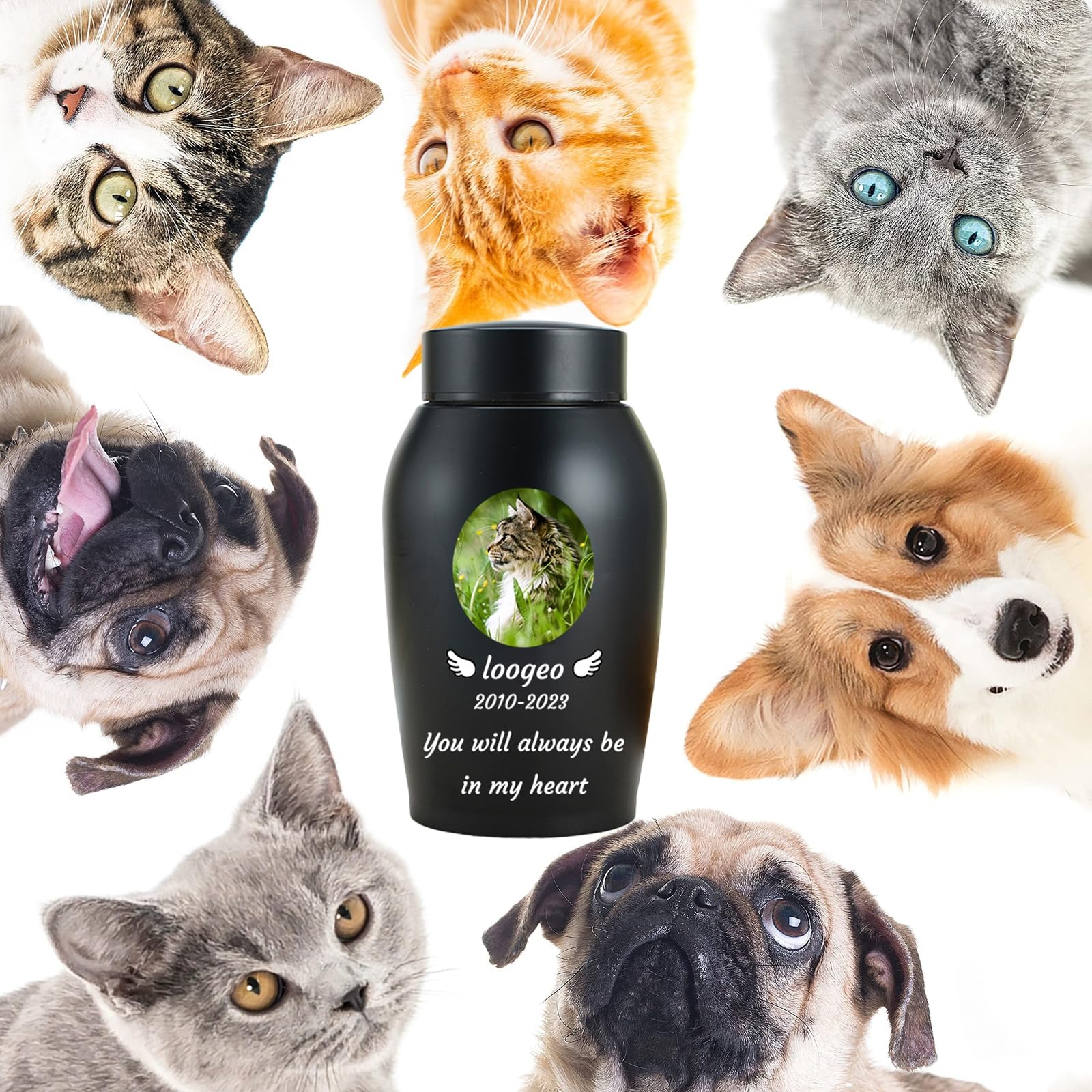 Haustier Urnen für Katzen Asche personalisiert, Katze Urnen für Asche anpassbar, Edelstahl Katze Einäscherung Urnen Katze Memorial Keepsake Urnen,Schwarz
