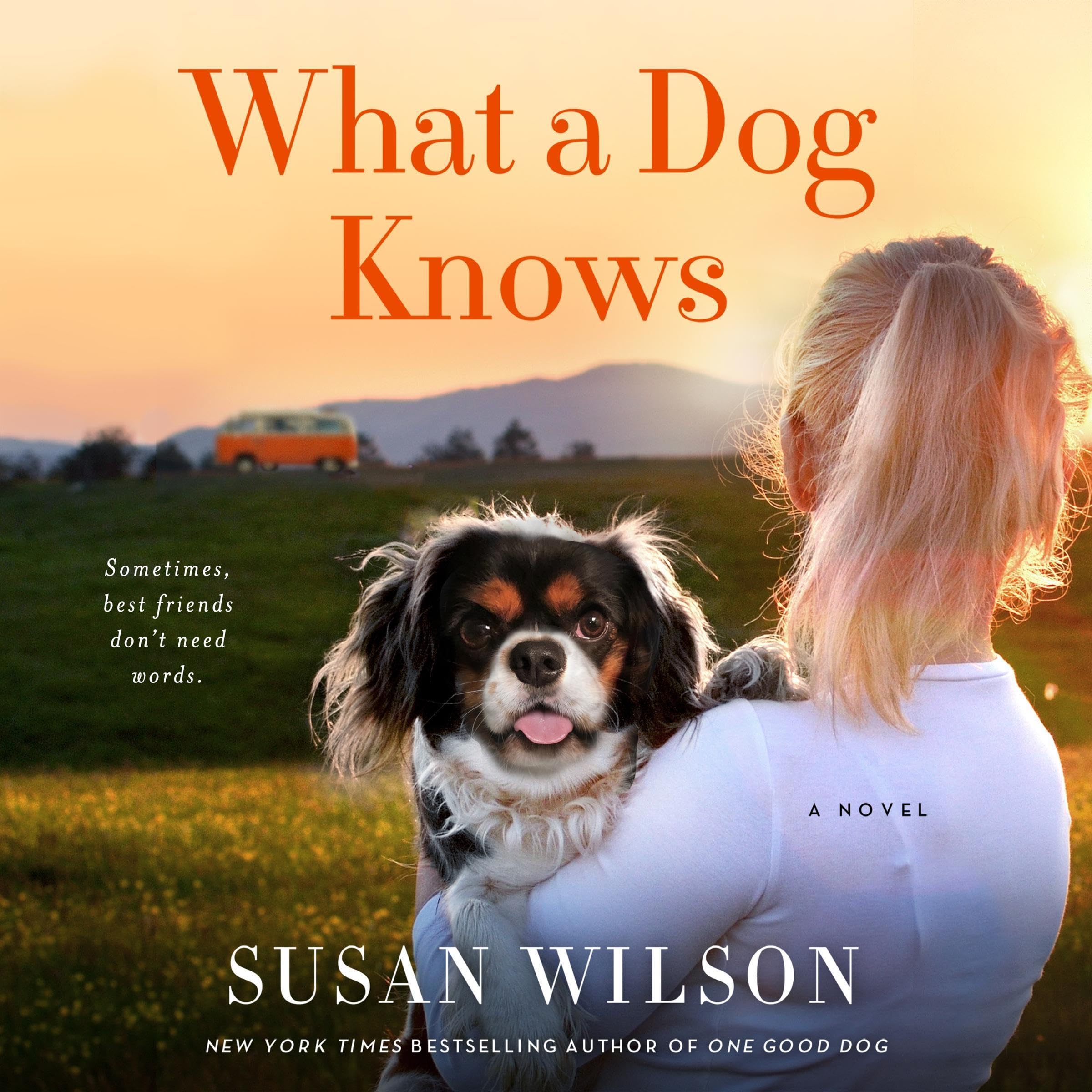 Cover art for What a Dog Knows