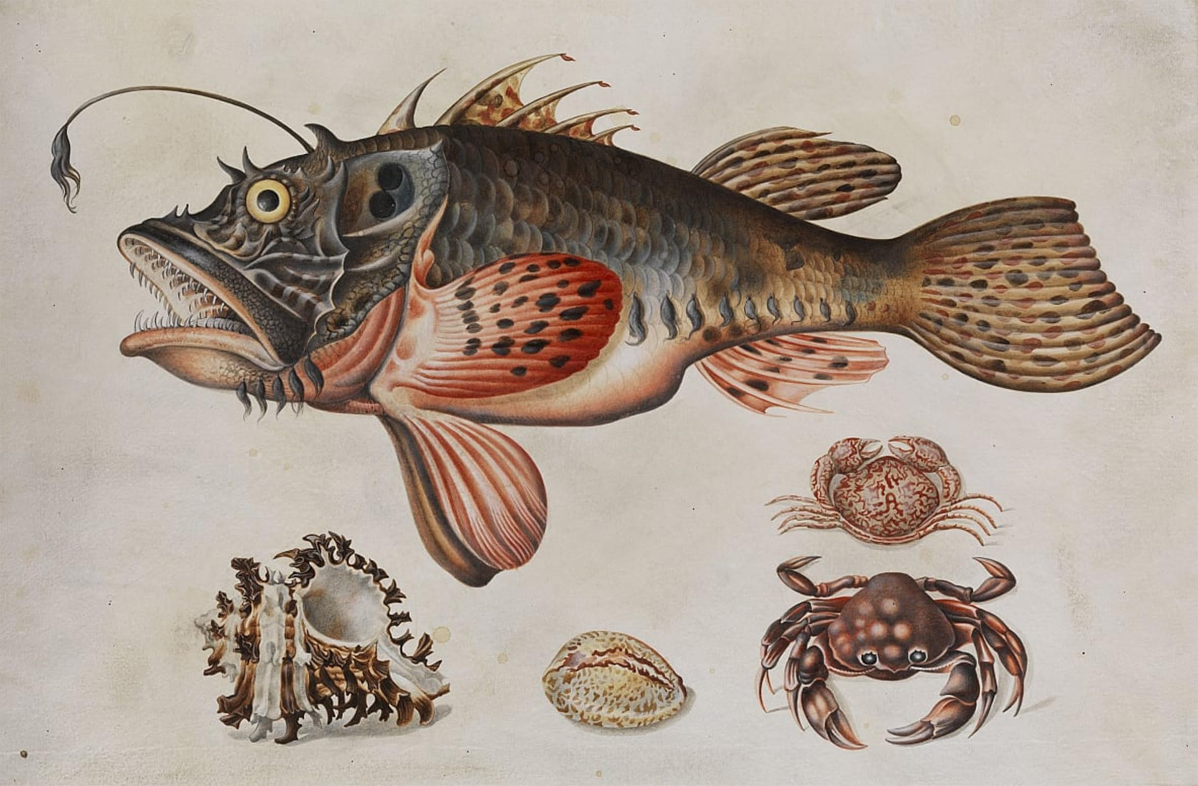 ARTXLXXBN Famous Print Painting Colorful Art Print Deep Sea Fish by Maria Si Canvas Art Decorations for Home Decor 60x90cm