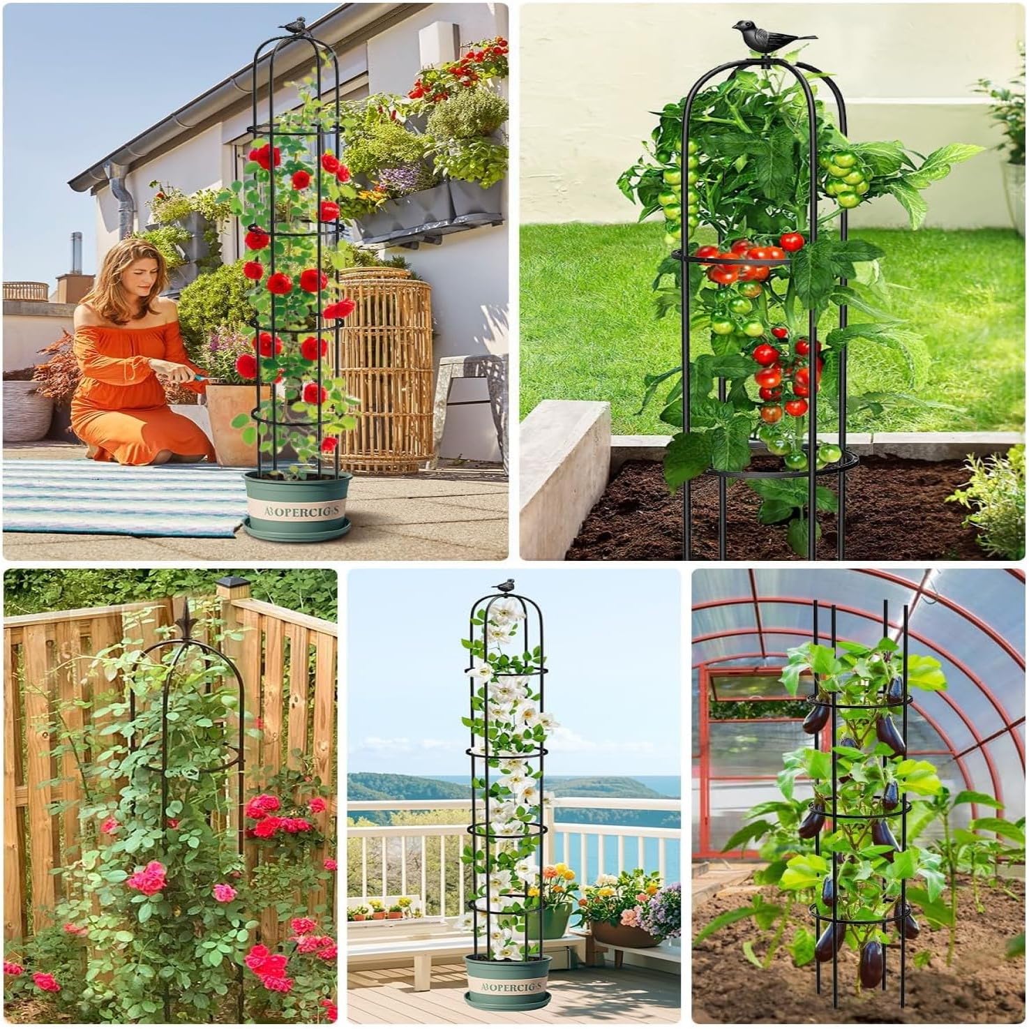 LATERN 1 Pieza Enrejado de Obelisco de Jardín para Plantas Trepadoras, 180CM Altura Soporte Metálico para Plantas con Revestimiento Antioxidante para Macetas Plantas Rosas Tomates Pepinos Flores Uvas