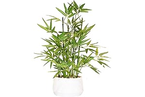 Luxurious Faux Bamboo Plant for Your Indoor Oasis