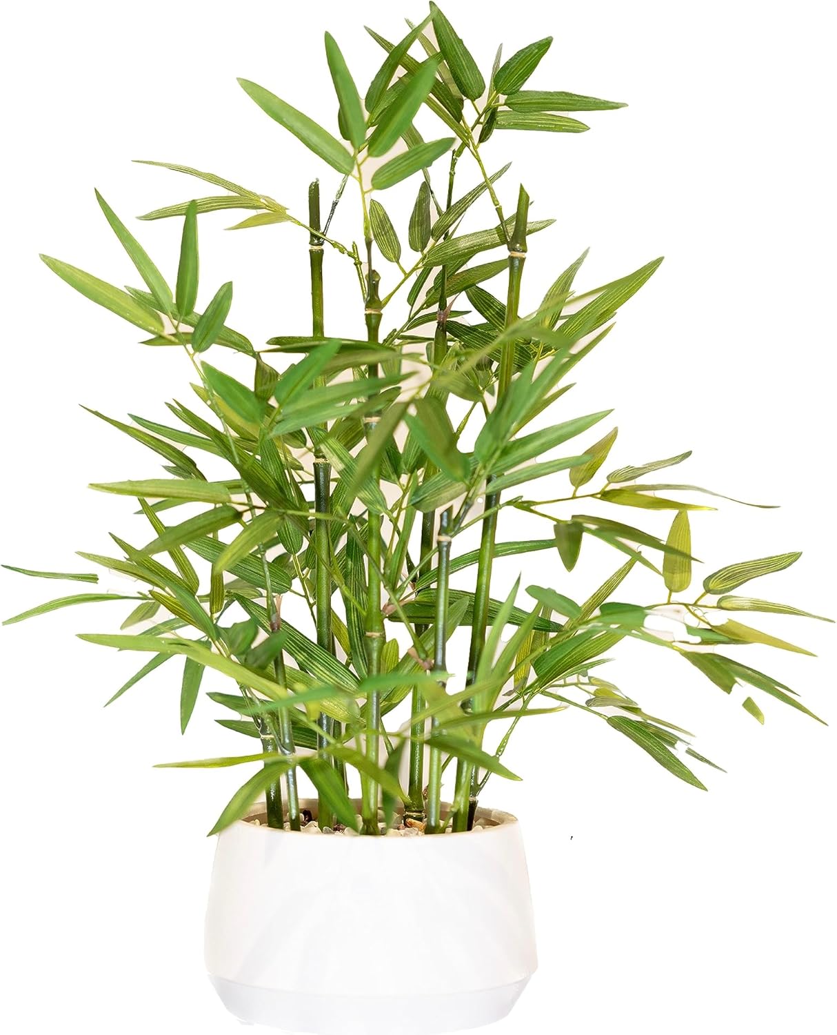 365 Blooming Decor 18 Inch Tall White Potted Faux Bamboo Plant – Luxury Artificial Bamboo in White Pot for Home, Office, Kitchen, Counter Top, Indoor Decor, Money Tree, Lucky Tree 365 Blooming Decor 18 Inch Tall White Potted Faux Bamboo Plant – Luxury Artificial Bamboo in White Pot for Home, Office, Kitchen, Counter Top, Indoor Decor, Money Tree, Lucky Tree