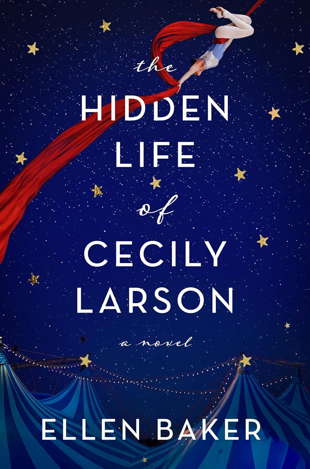 The Hidden Life of Cecily Larson A Novel by Baker, Ellen Amazon.ae The Hidden Life of Cecily Larson A Novel by Baker, Ellen Amazon.ae
