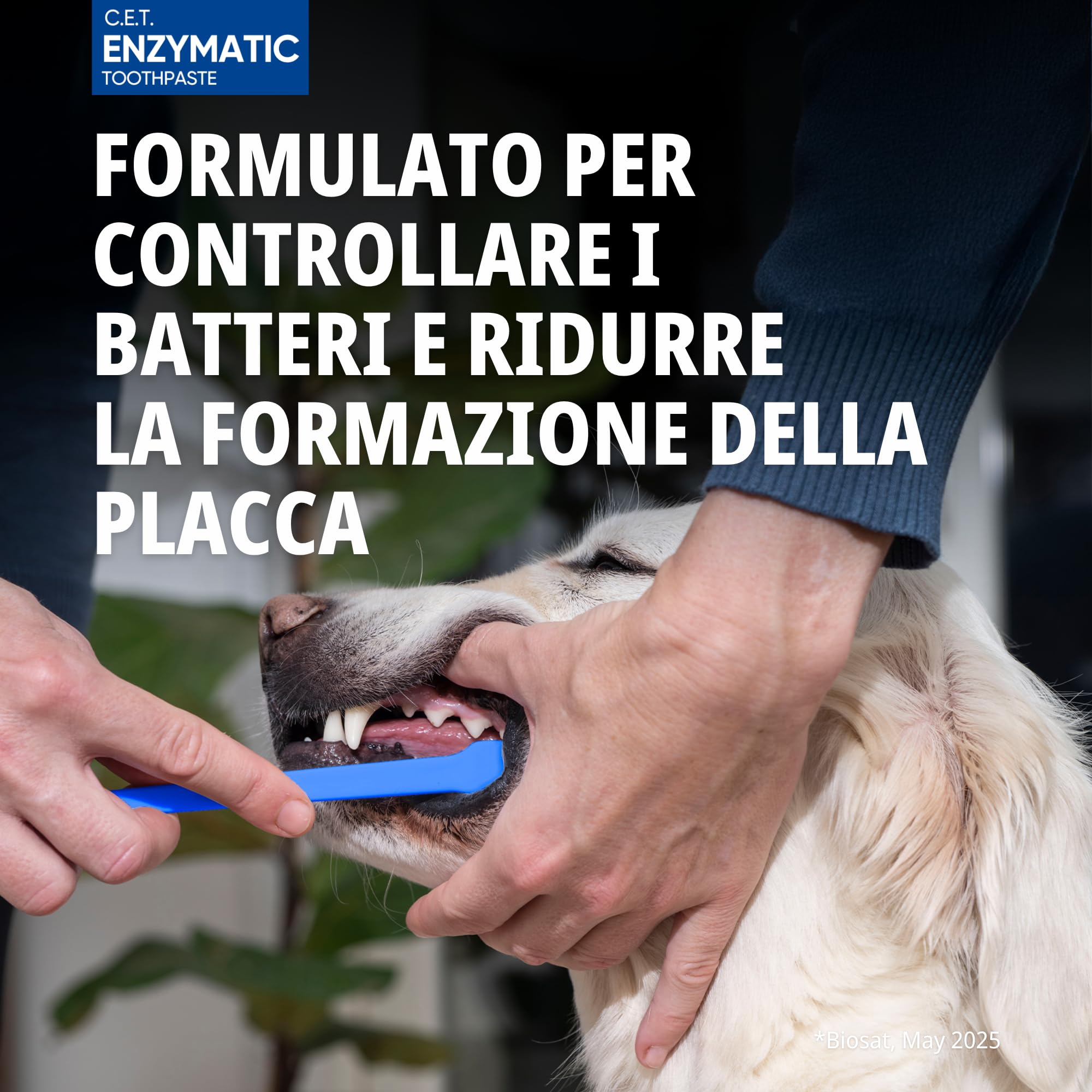 Virbac Dentifricio Enzimatico per Cani e Gatti 70g