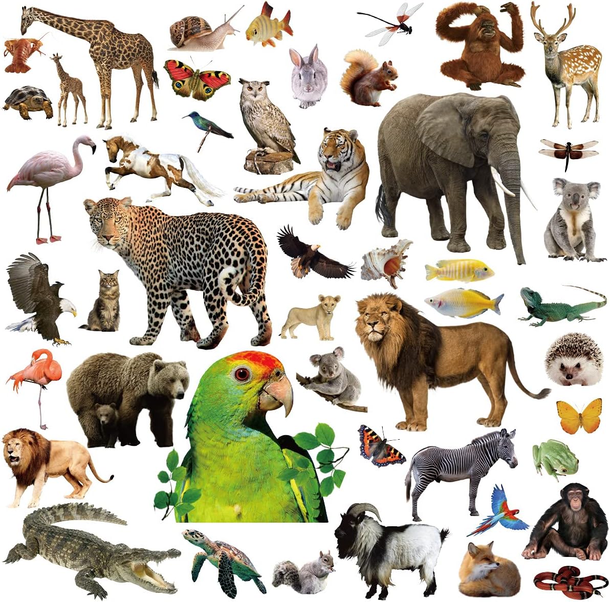 Fancy Land Animal Stickers Jungle Animal Sticker for Kids 400Pcs