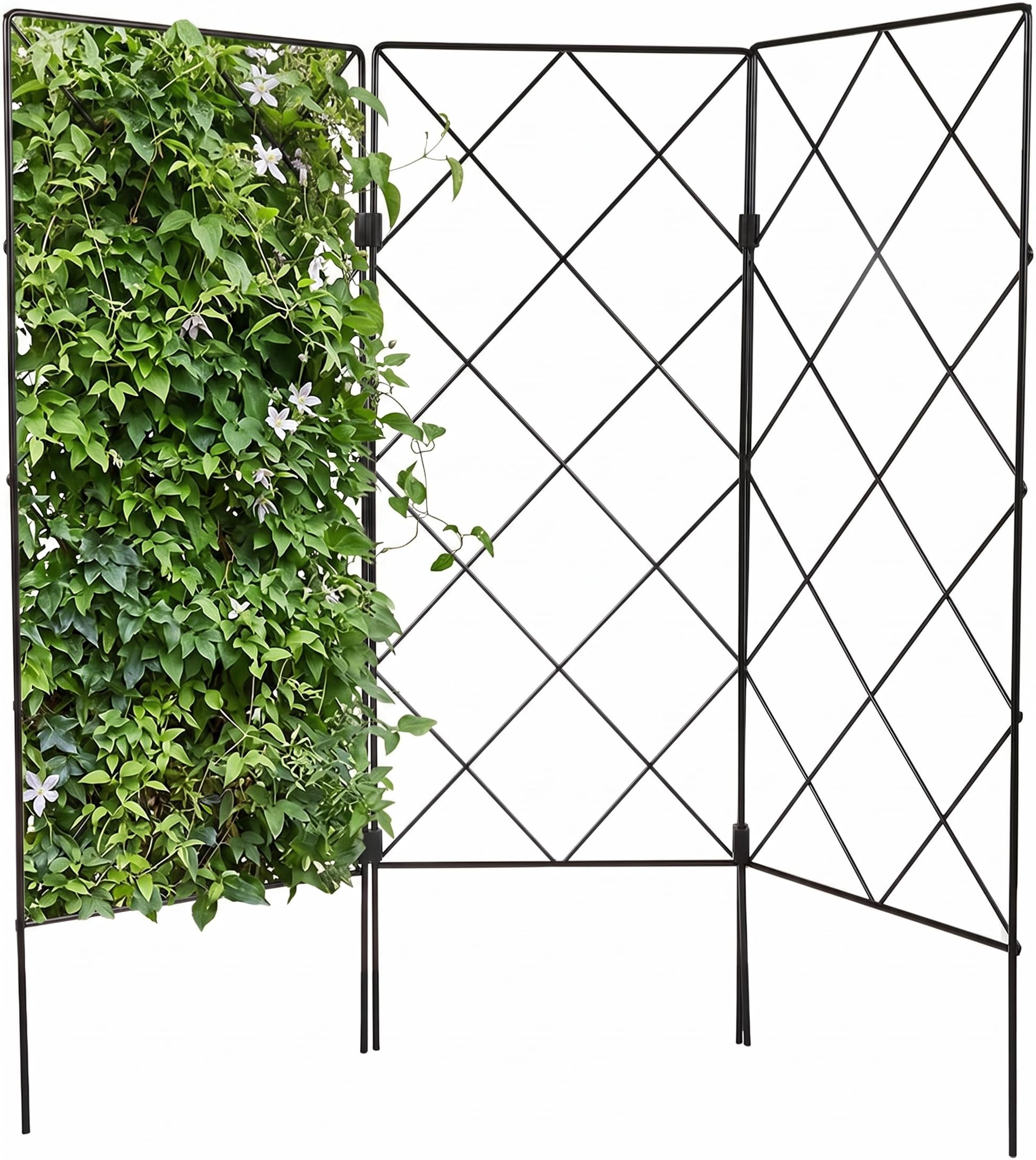 Treillis de jardin DOITOOL en métal pliable pour plantes grimpantes