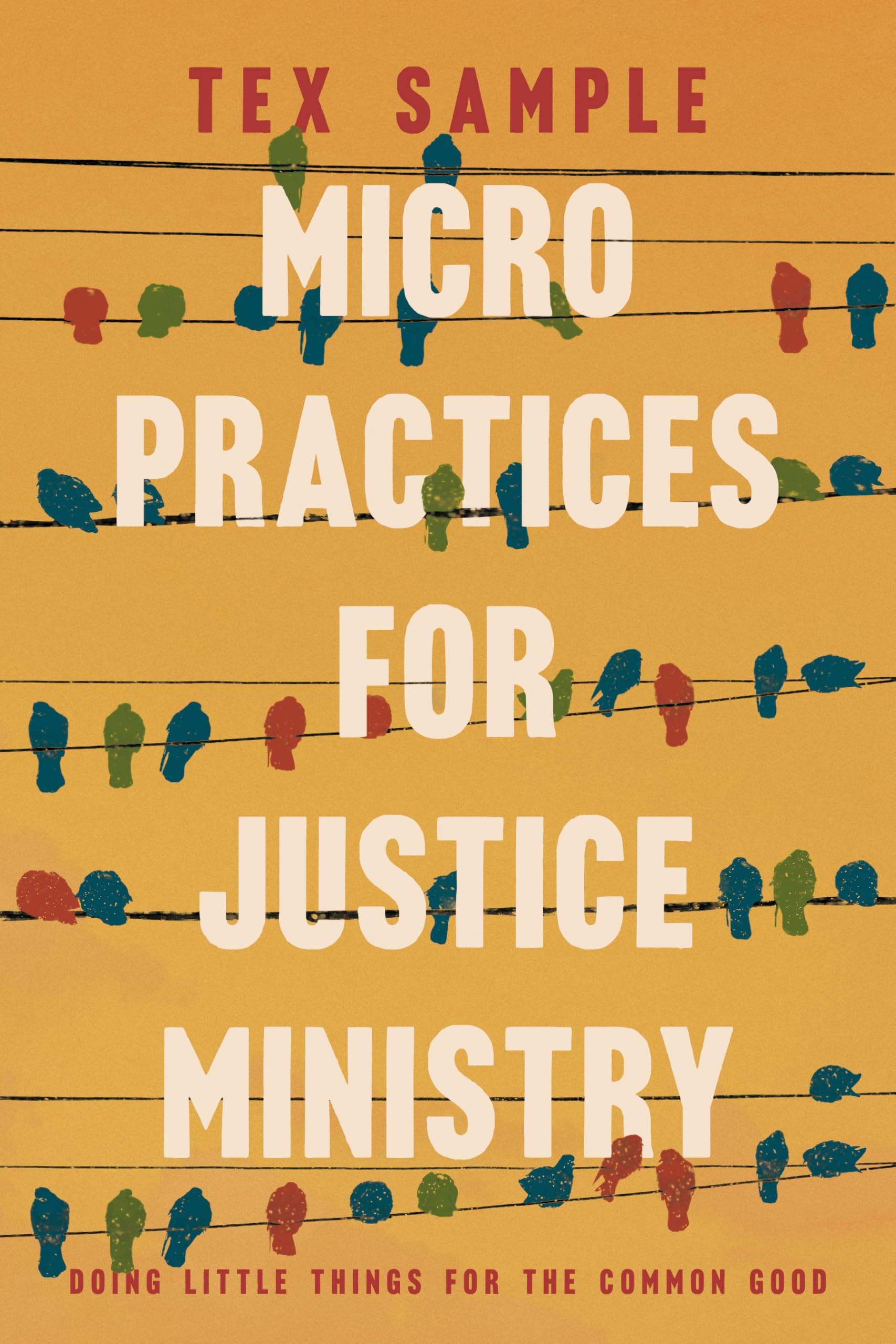 Micro Practices for Justice Ministry: Doing Little Things for the Common Good
